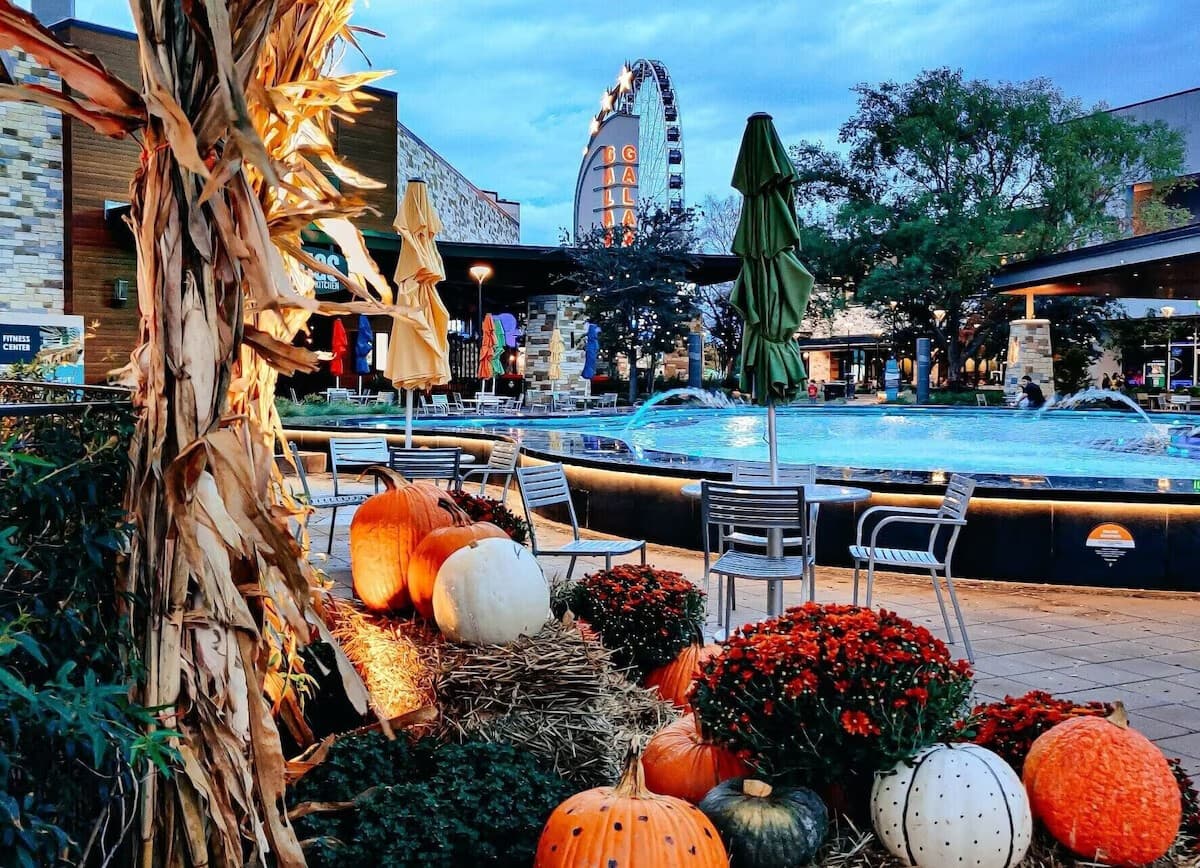 listing card gallery