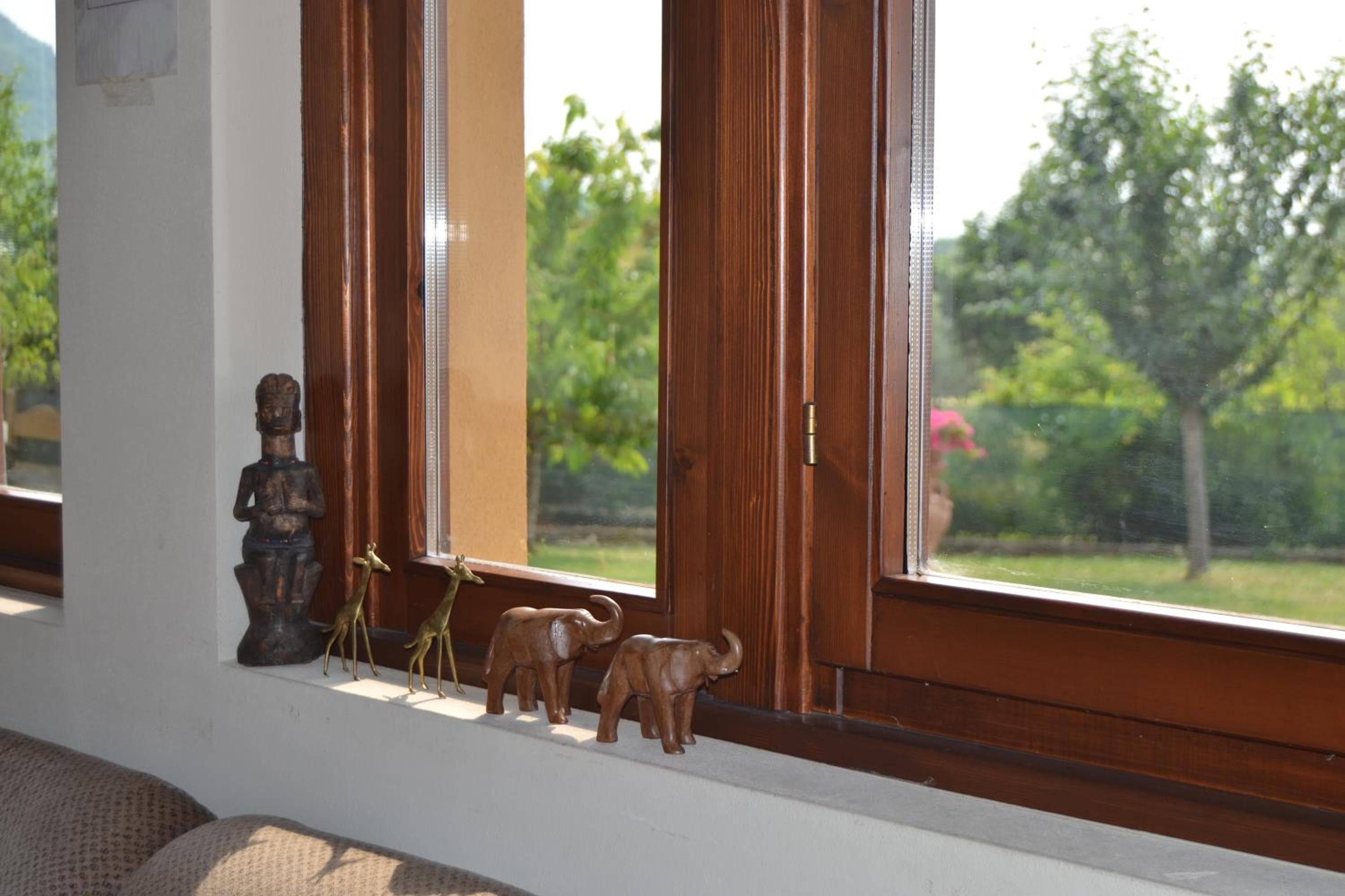 Photo 46