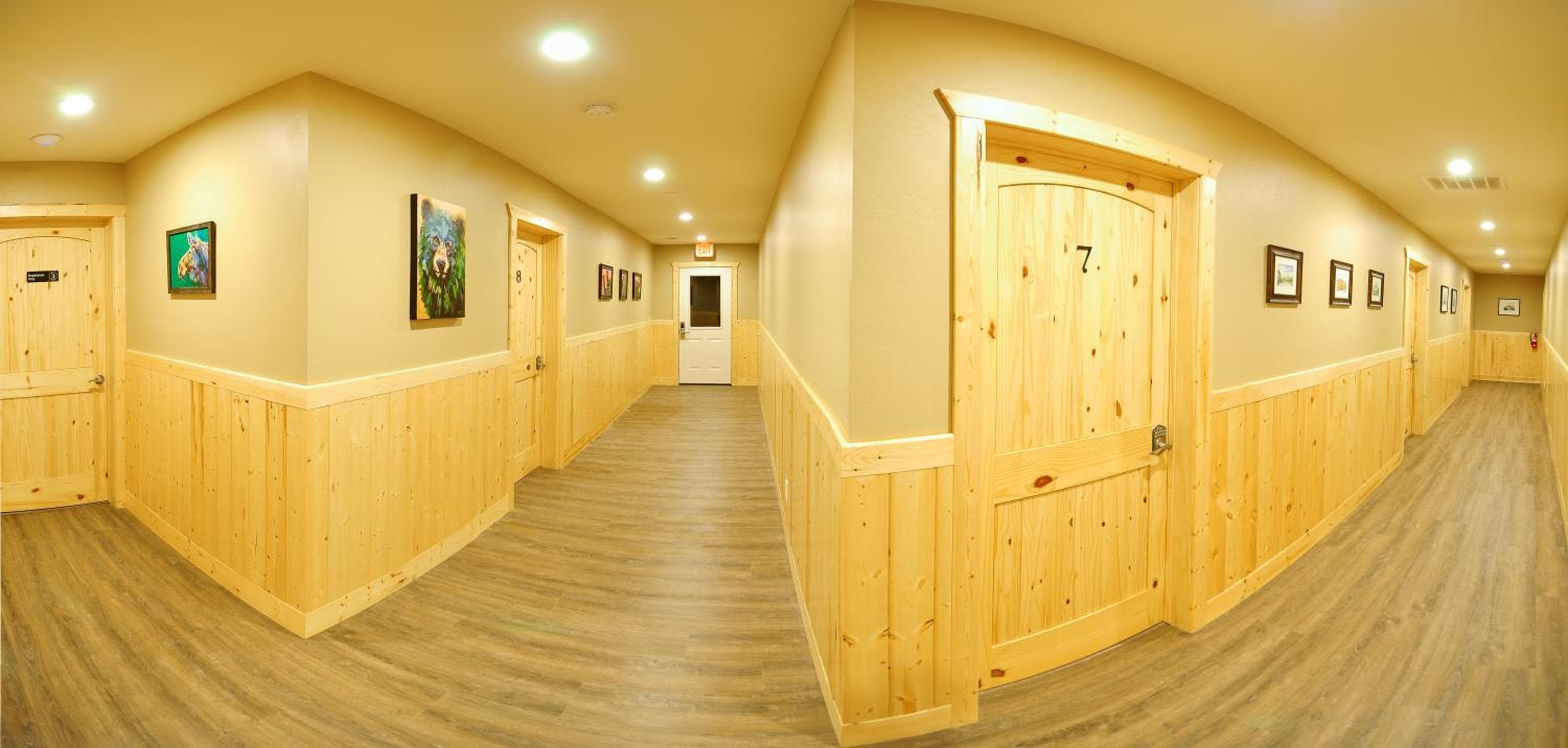 Photo 15