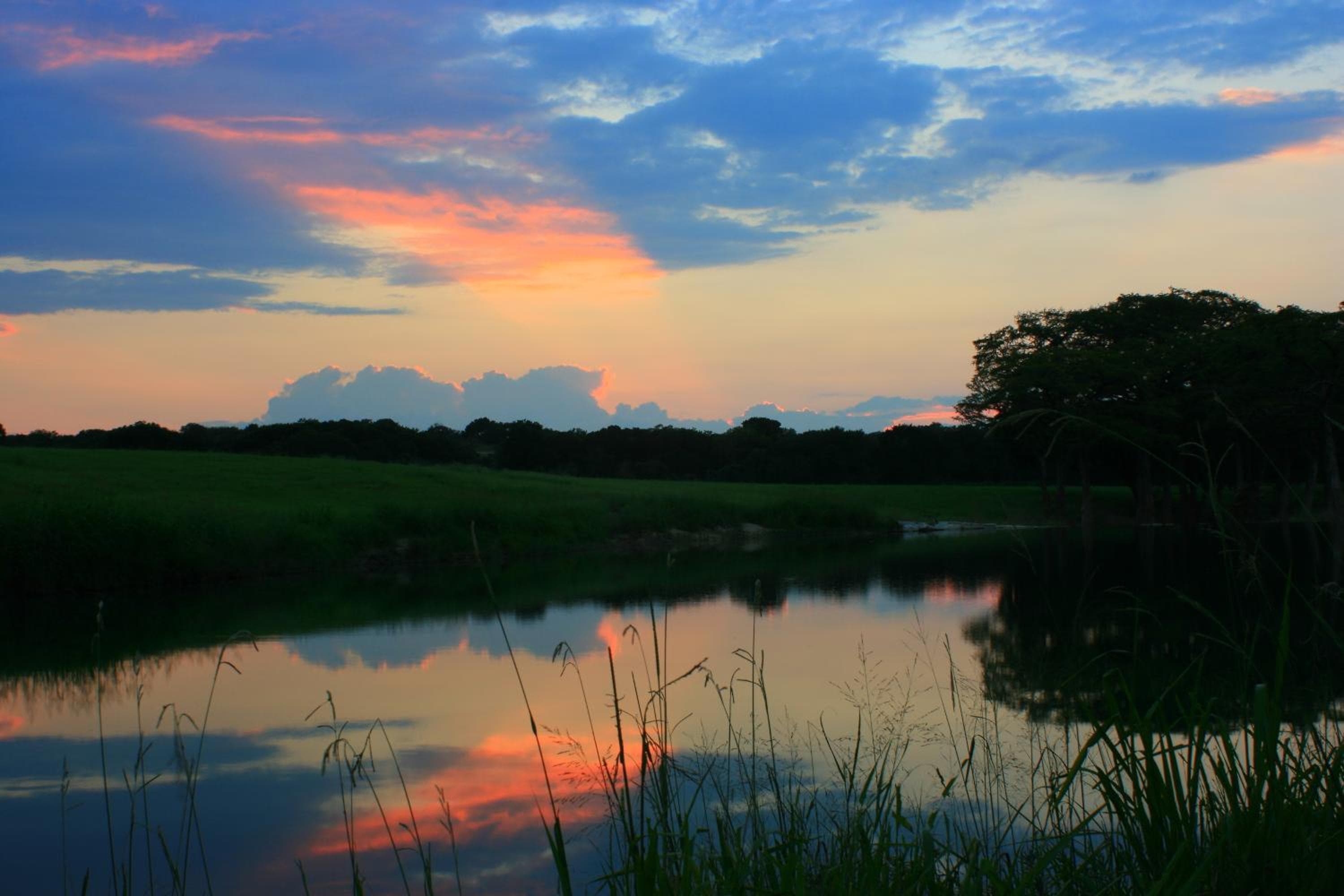 Photo 24