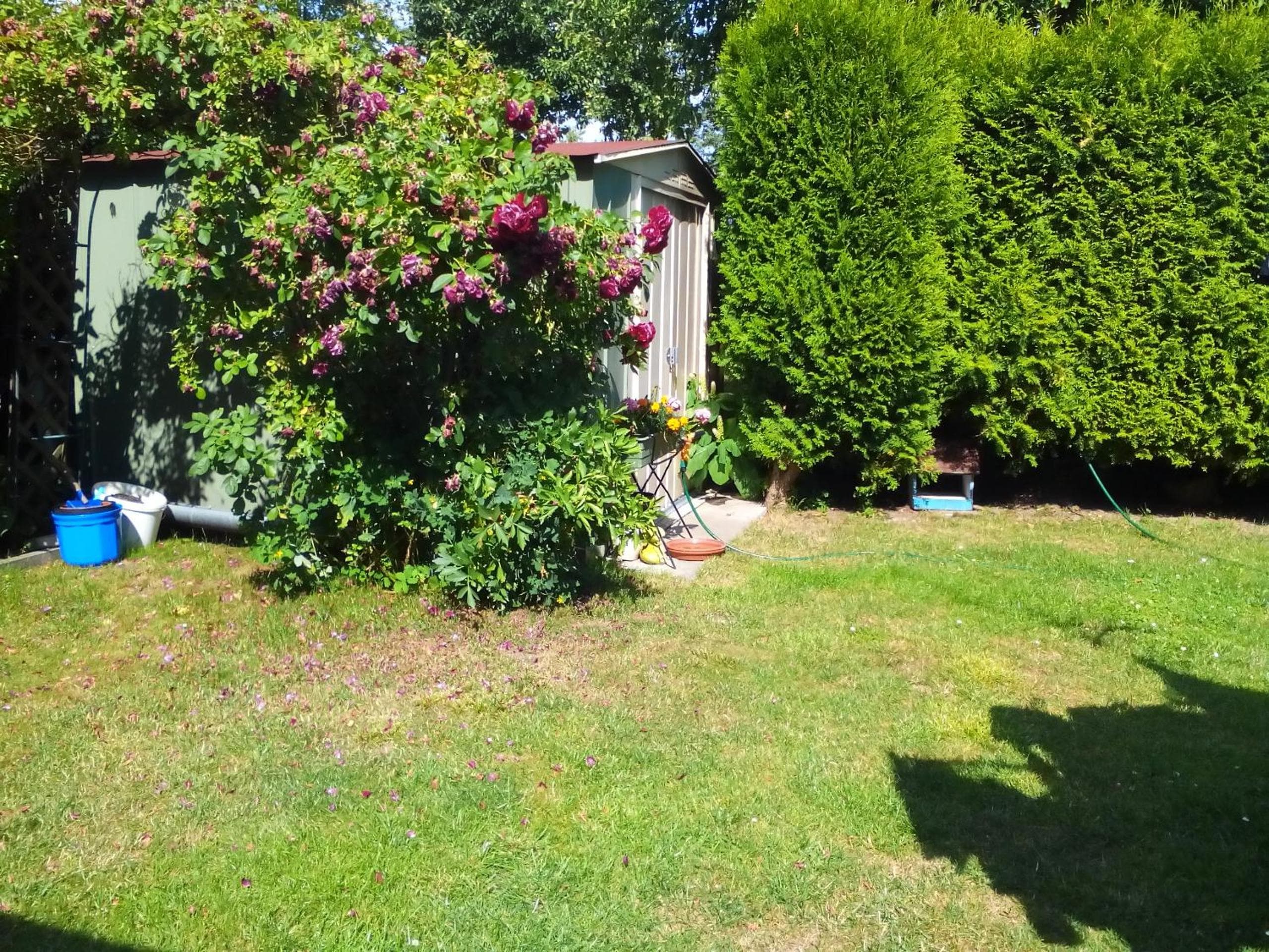 Photo 28