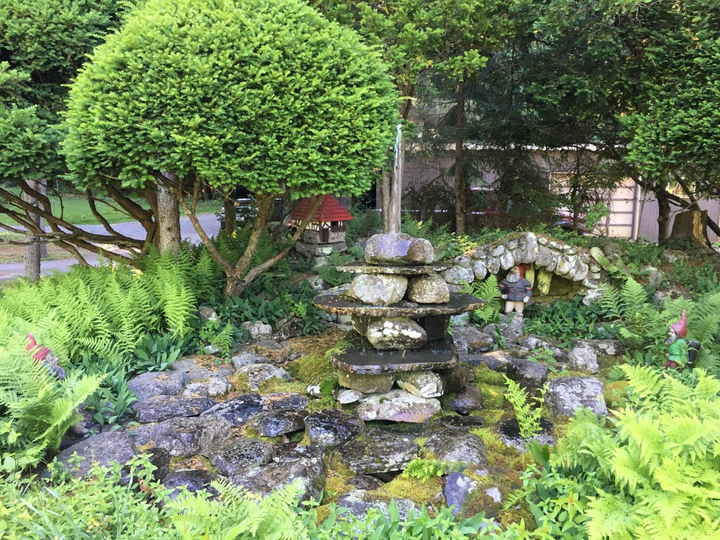 Photo 46