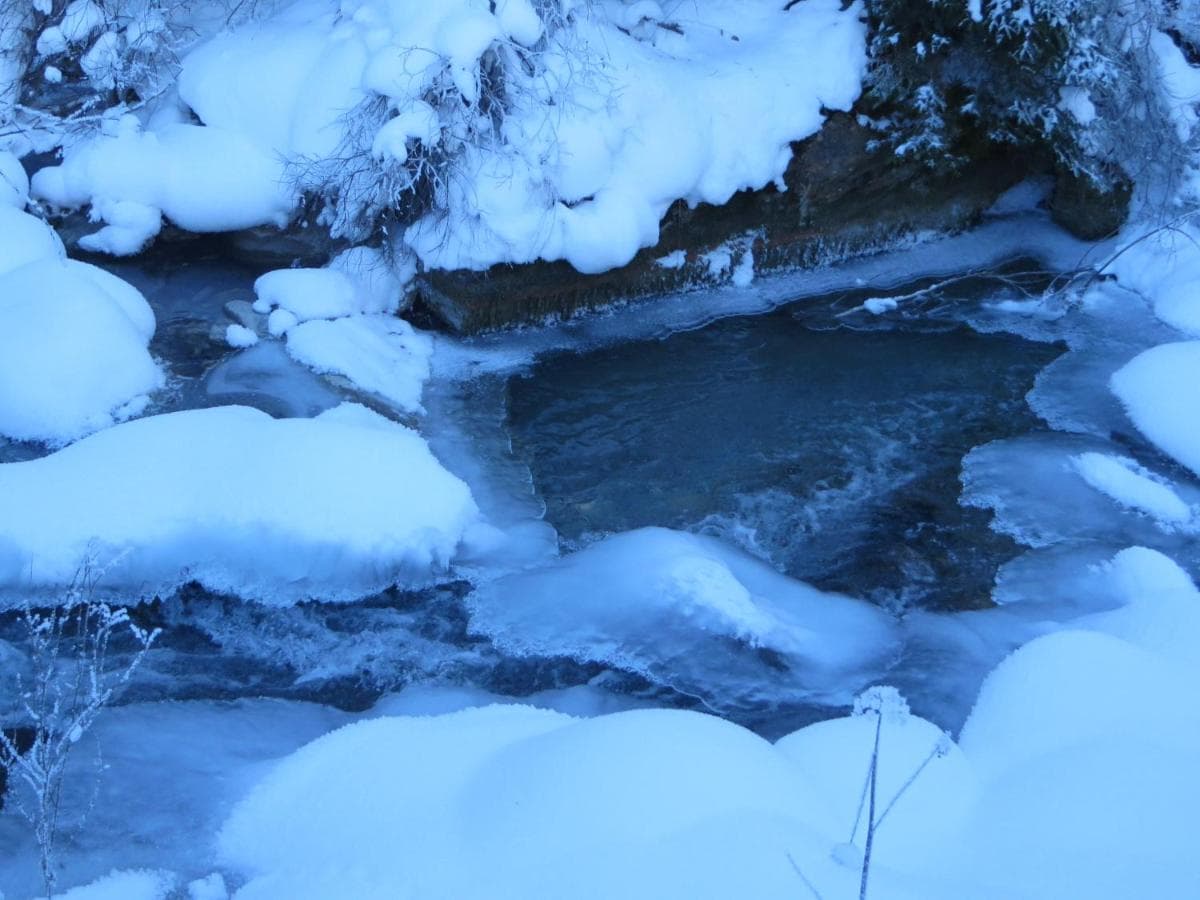 Photo 64