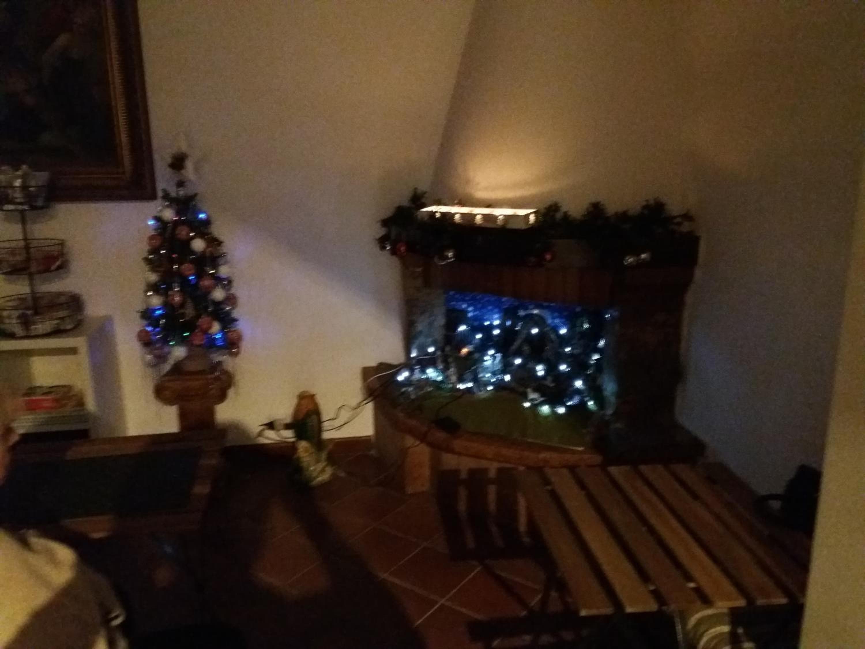 Photo 44