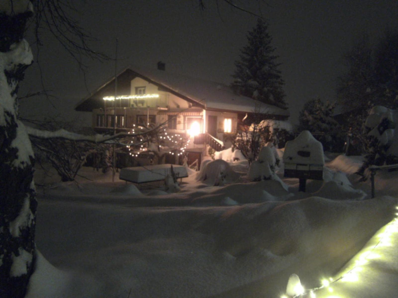 Photo 44