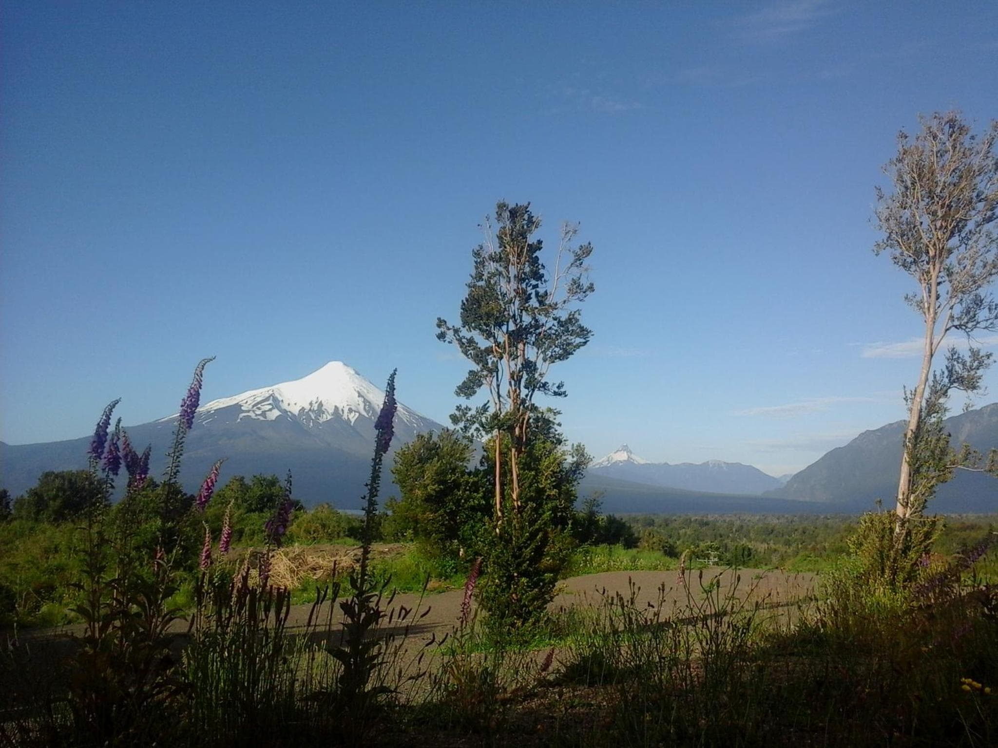 Photo 42