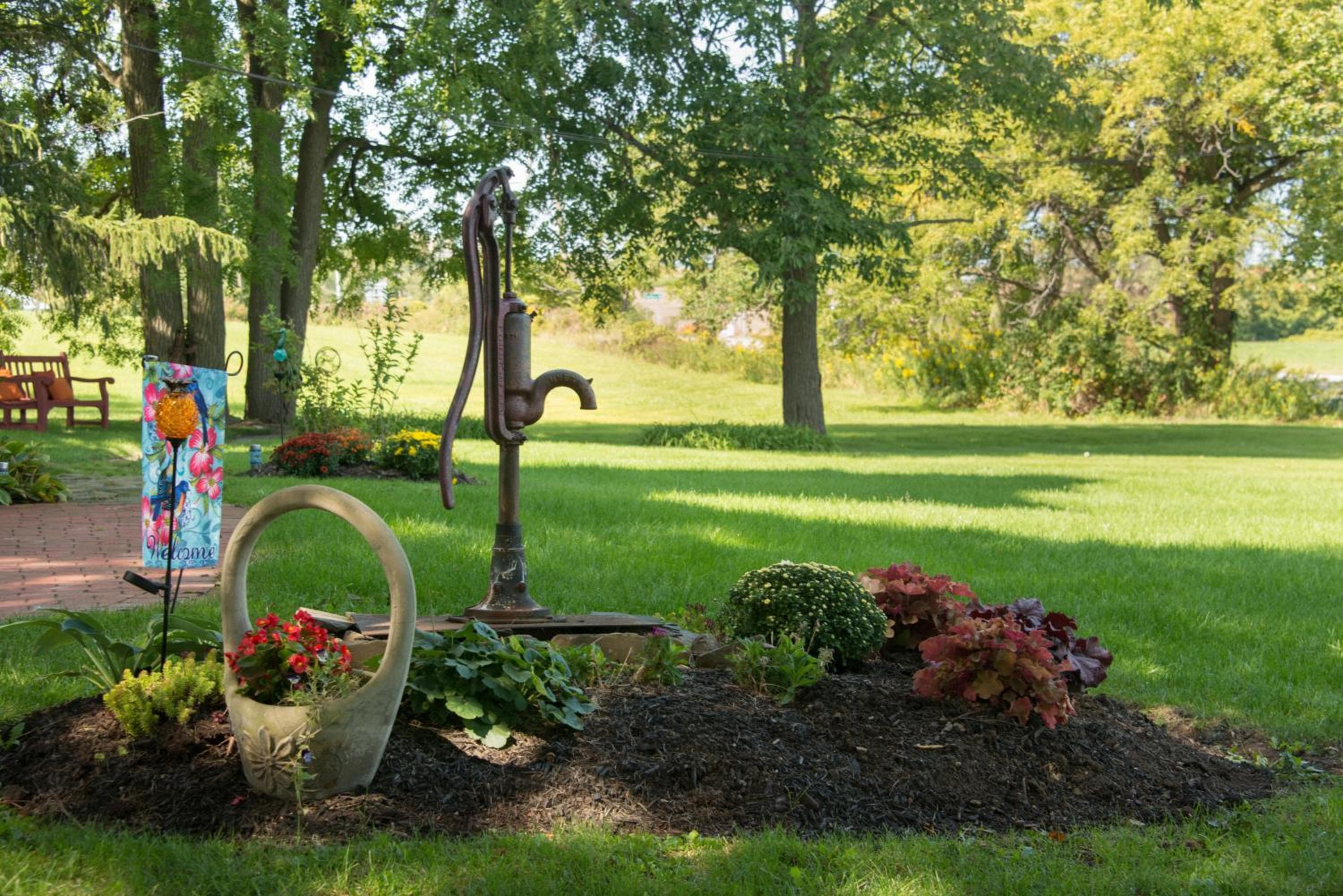 Photo 46