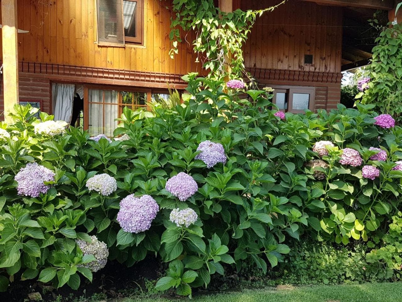 Photo 27