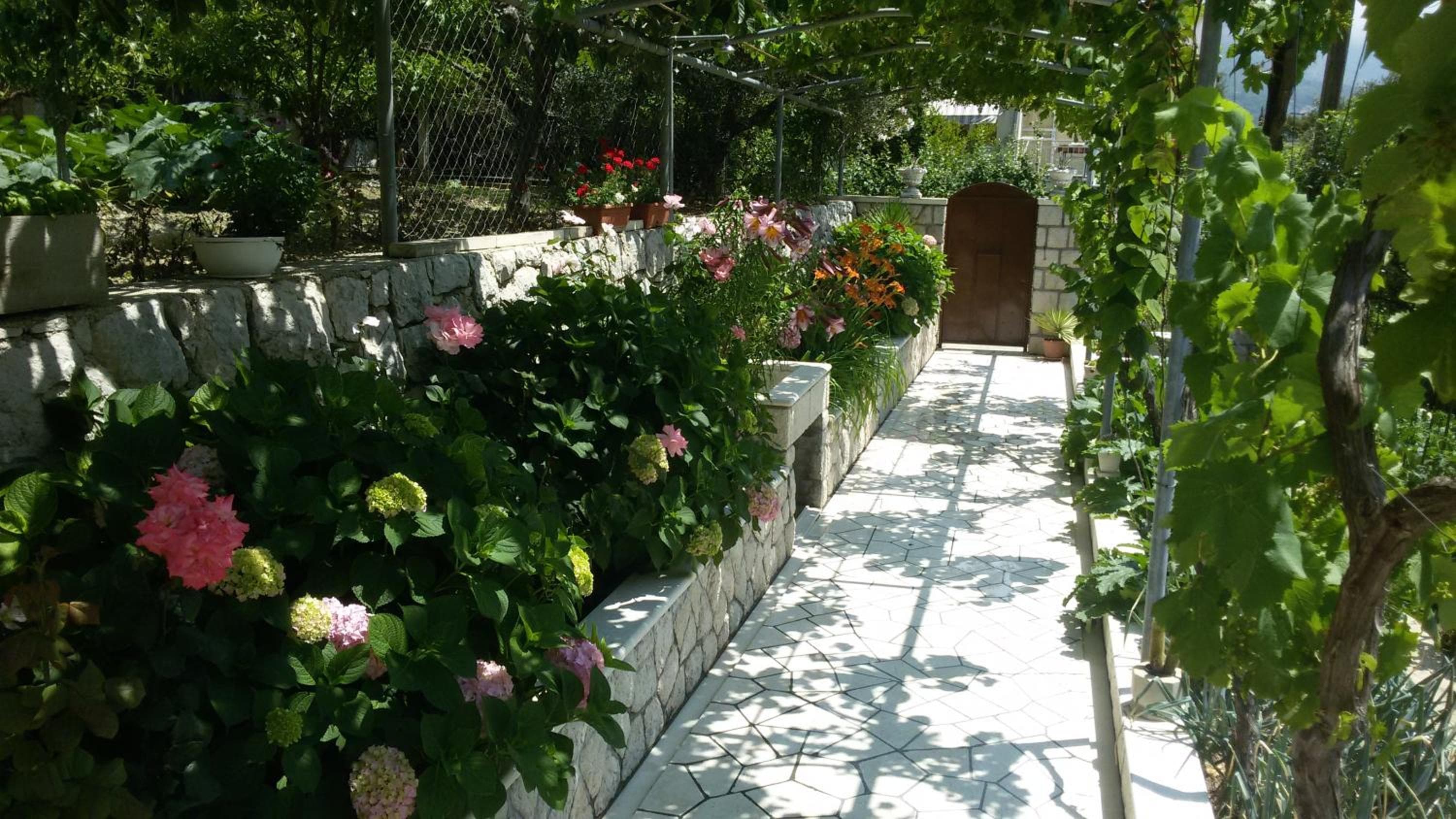Photo 5