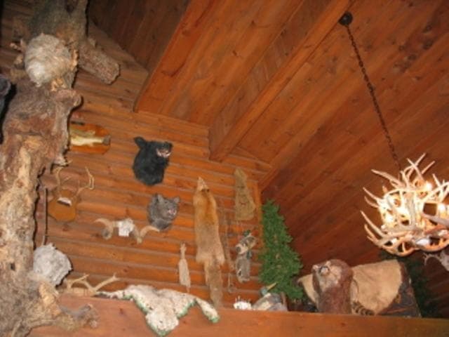Photo 27