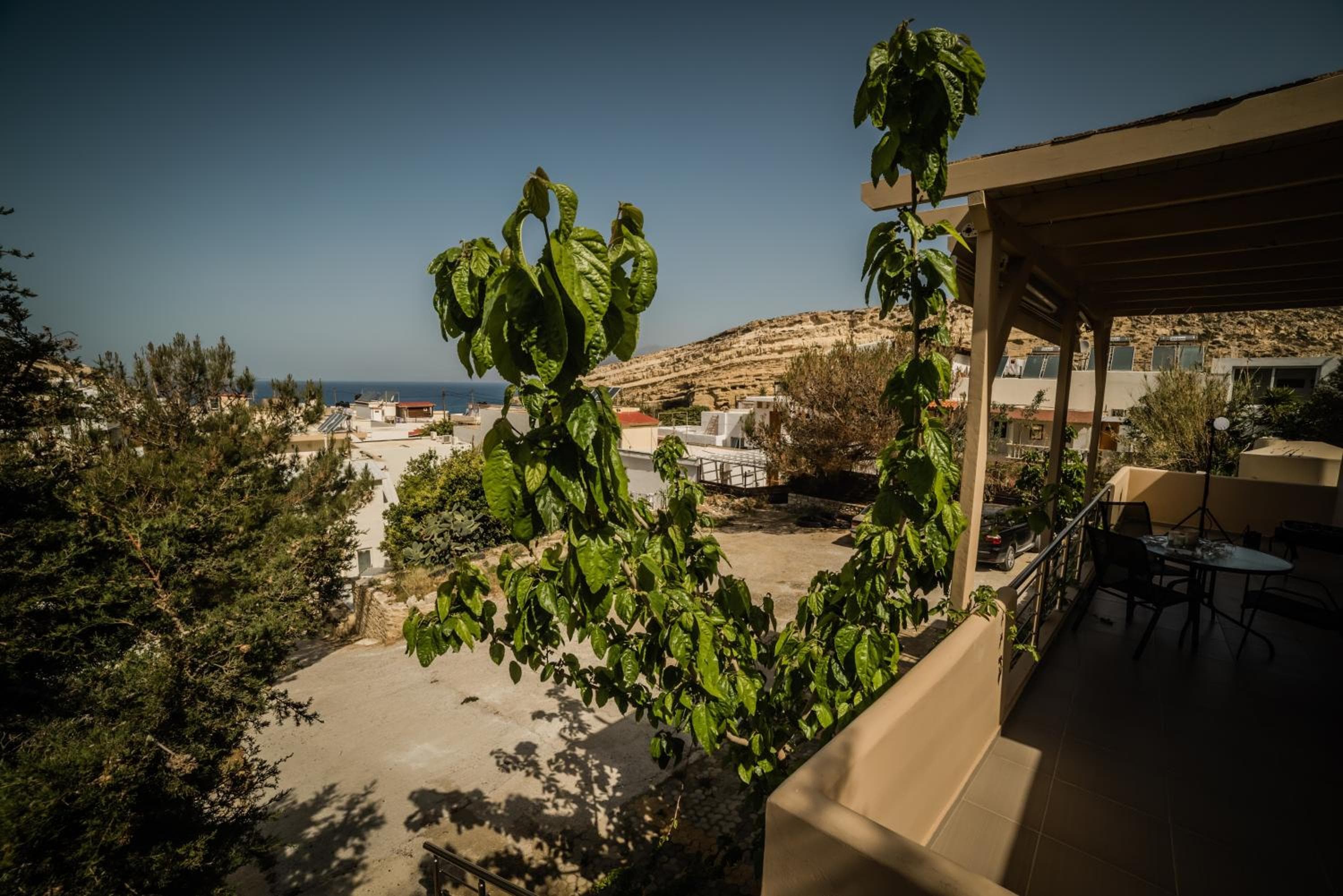 Photo 31