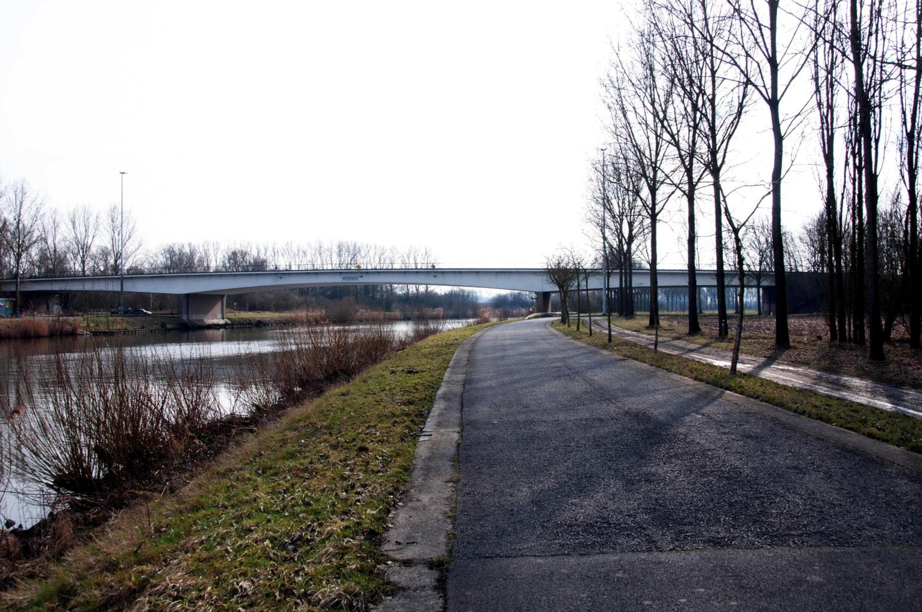 Photo 25