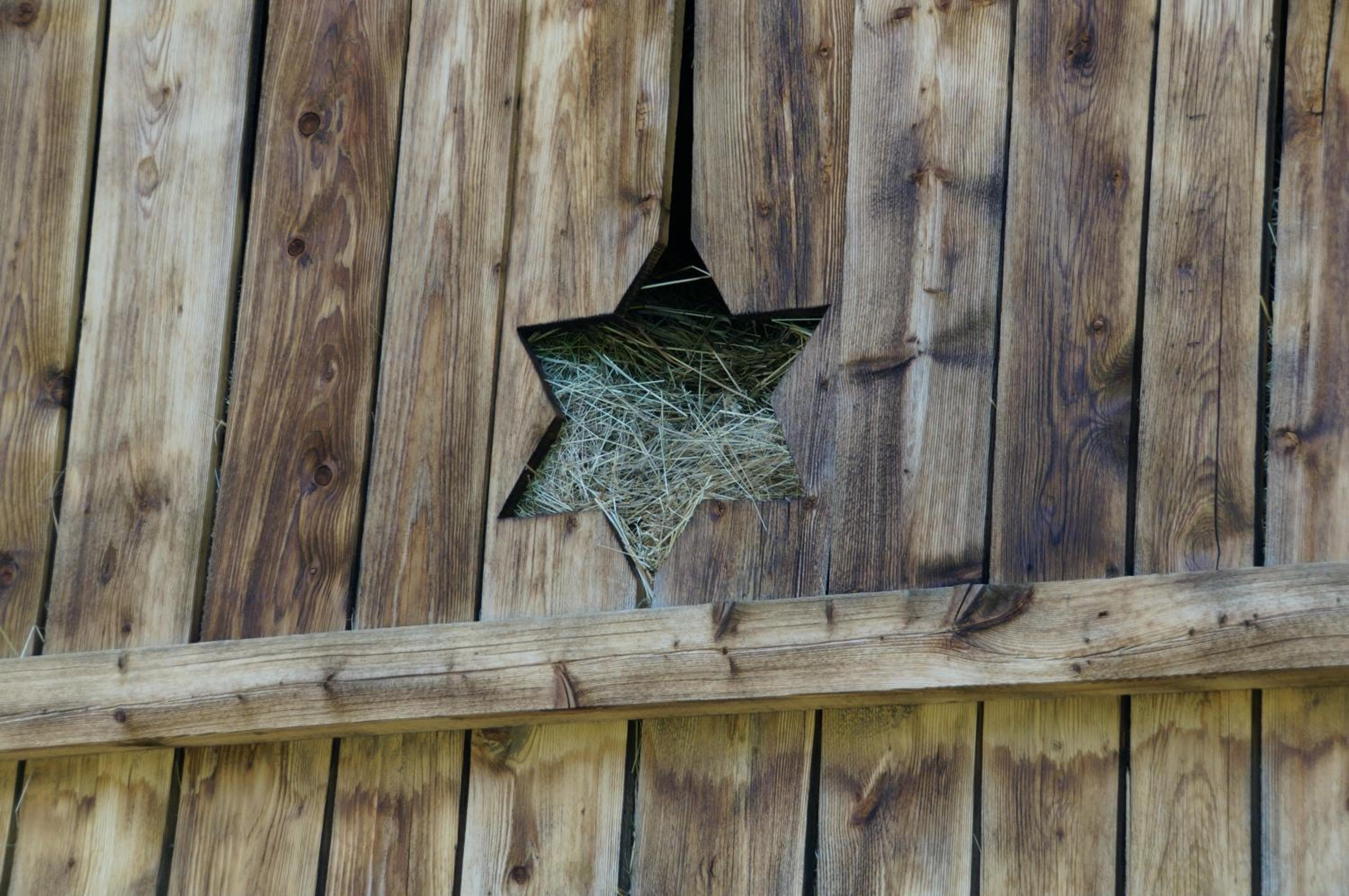 Photo 36