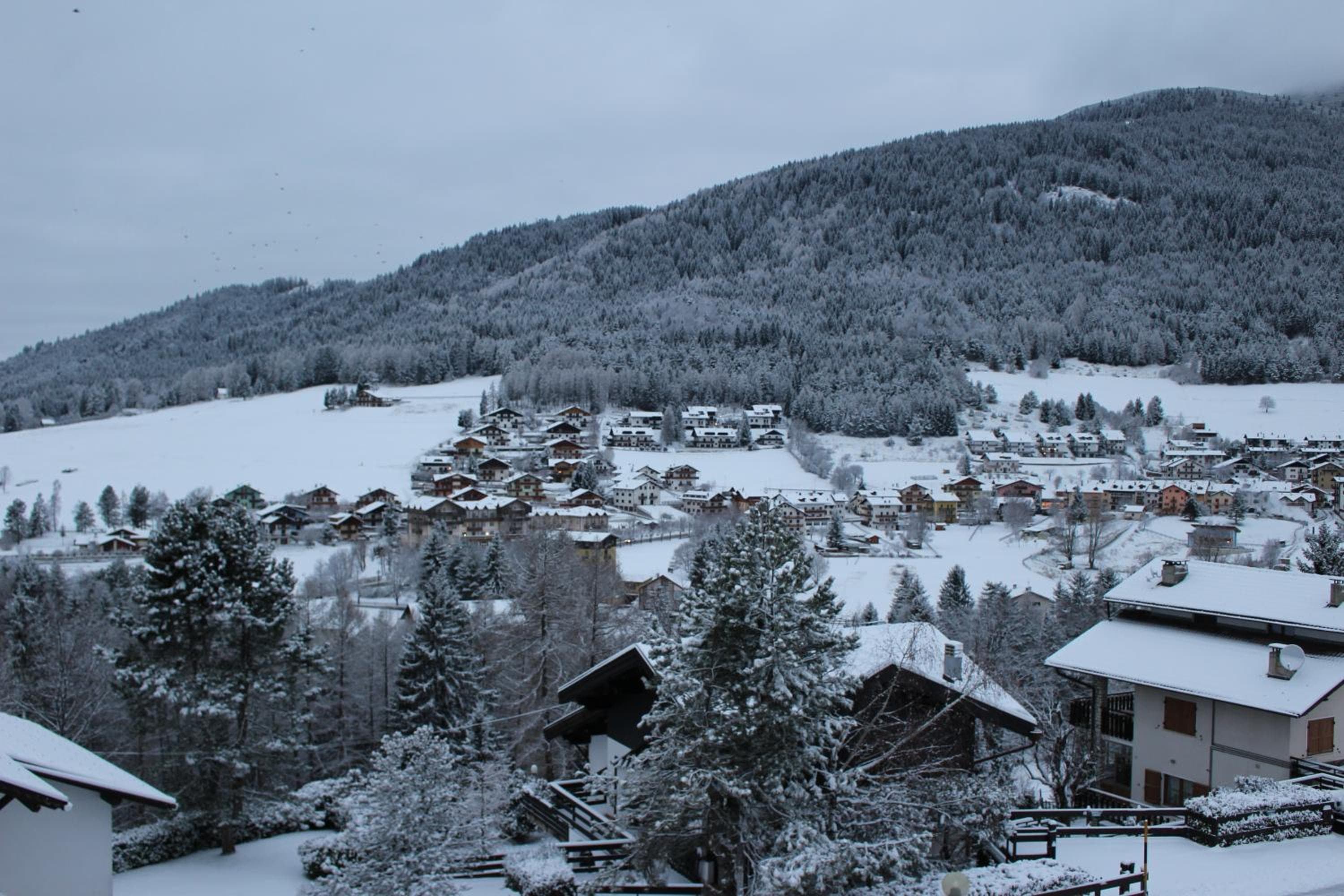 Photo 14