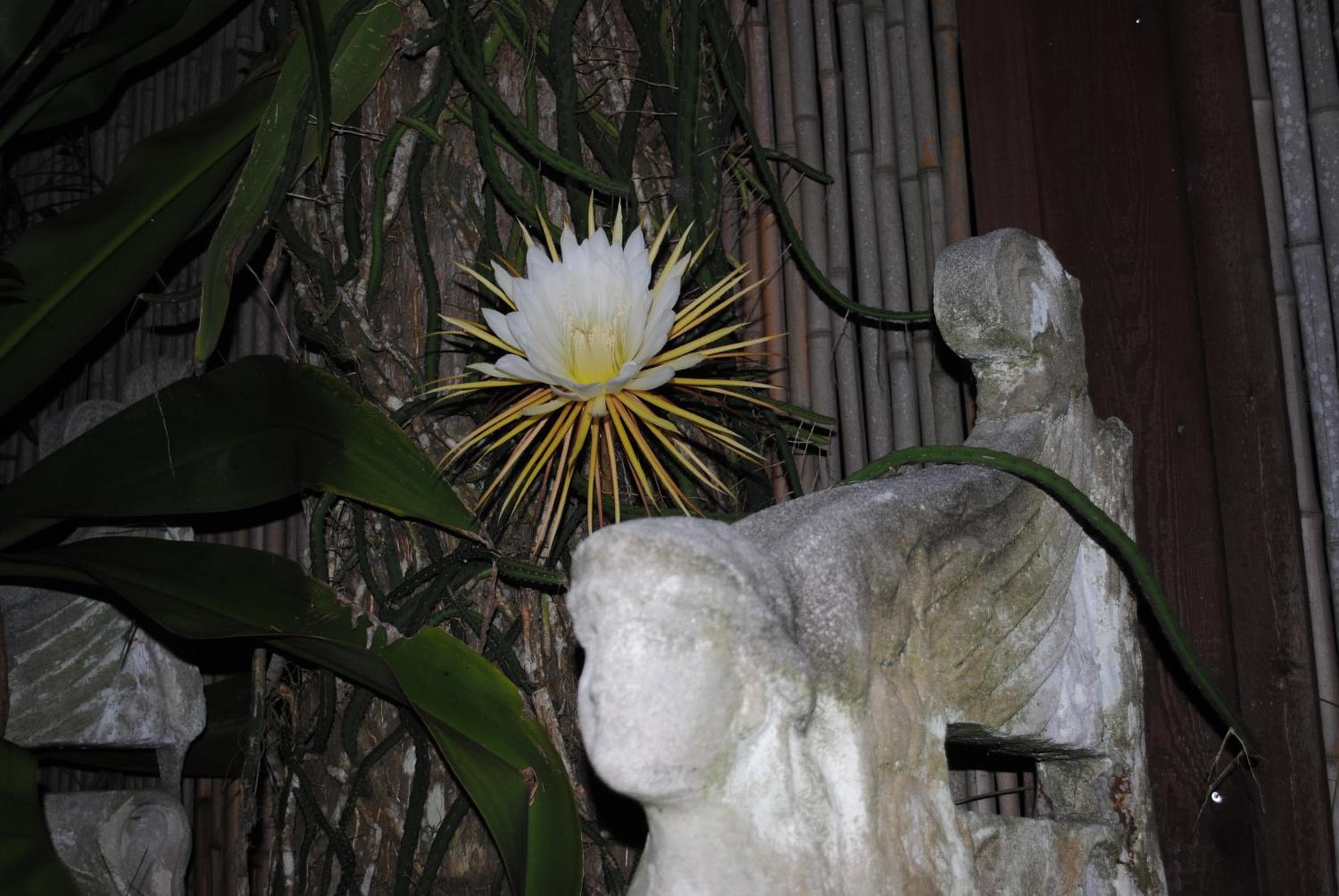 Photo 27