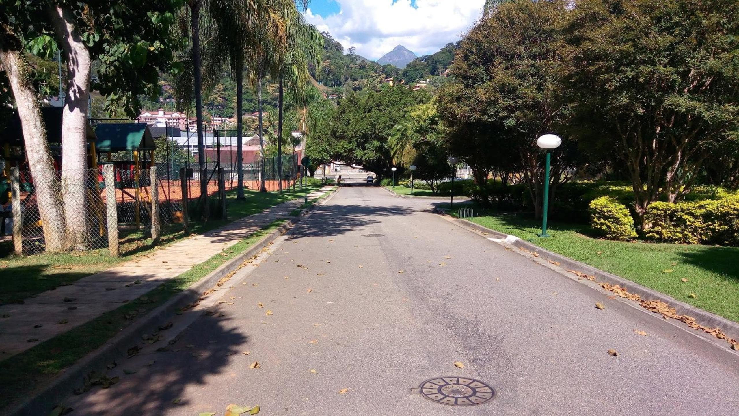 Photo 43