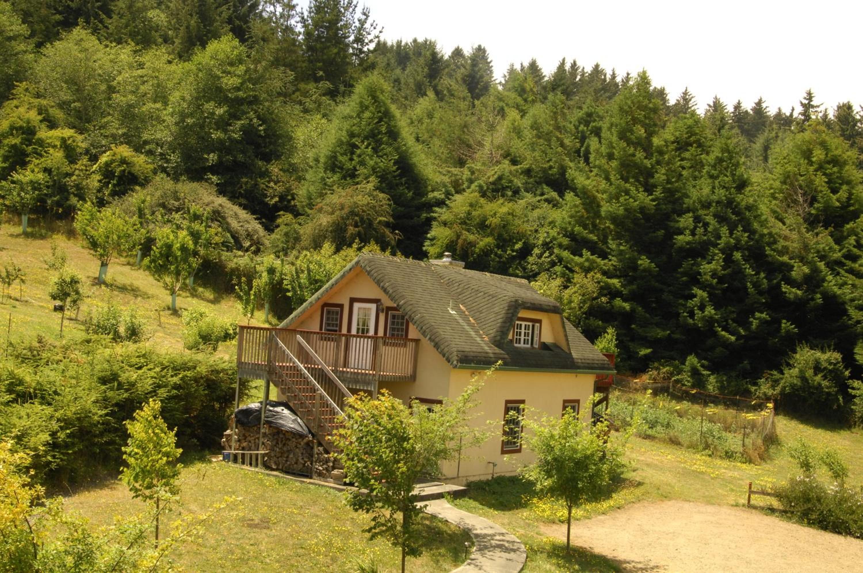 Photo 23
