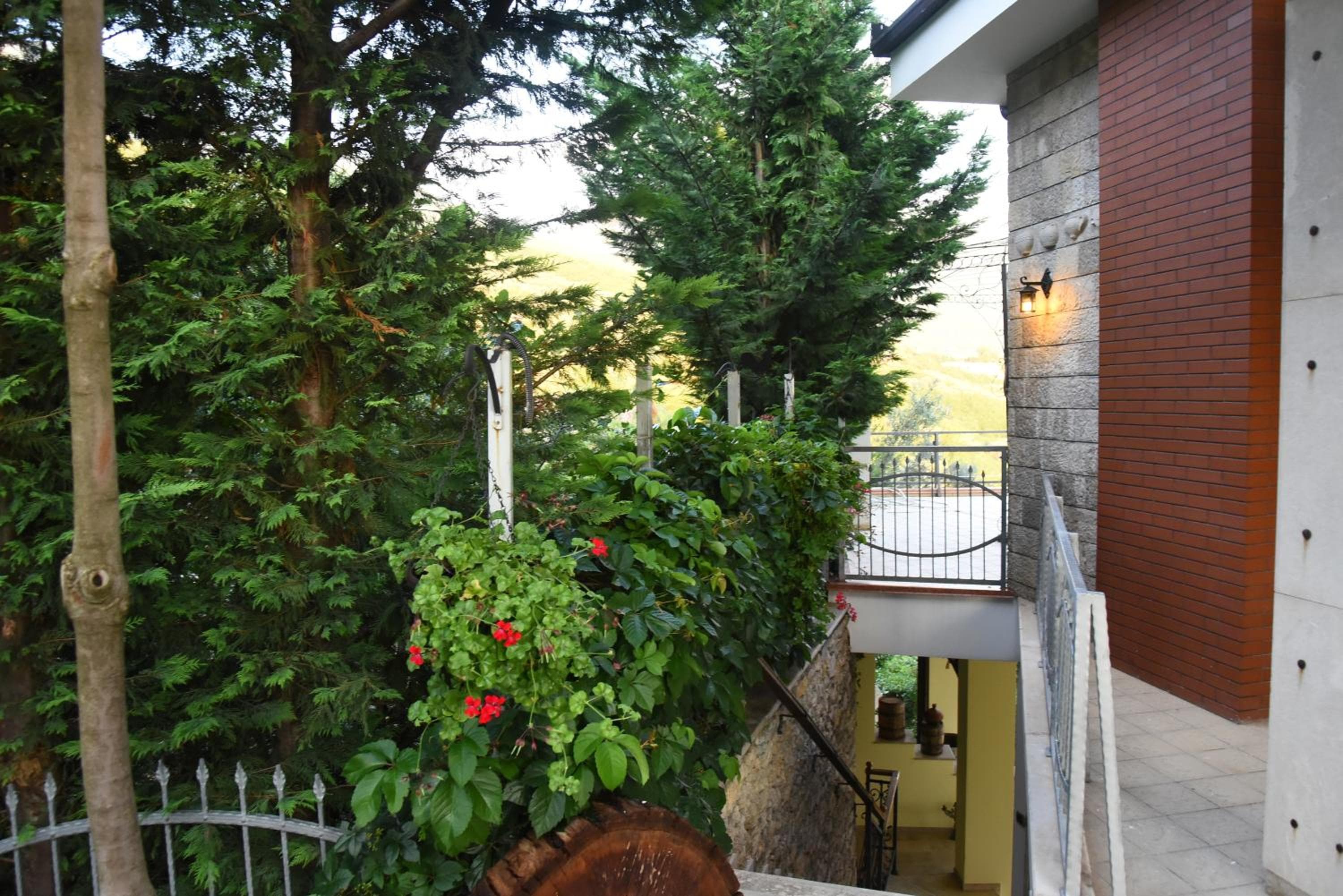 Photo 18