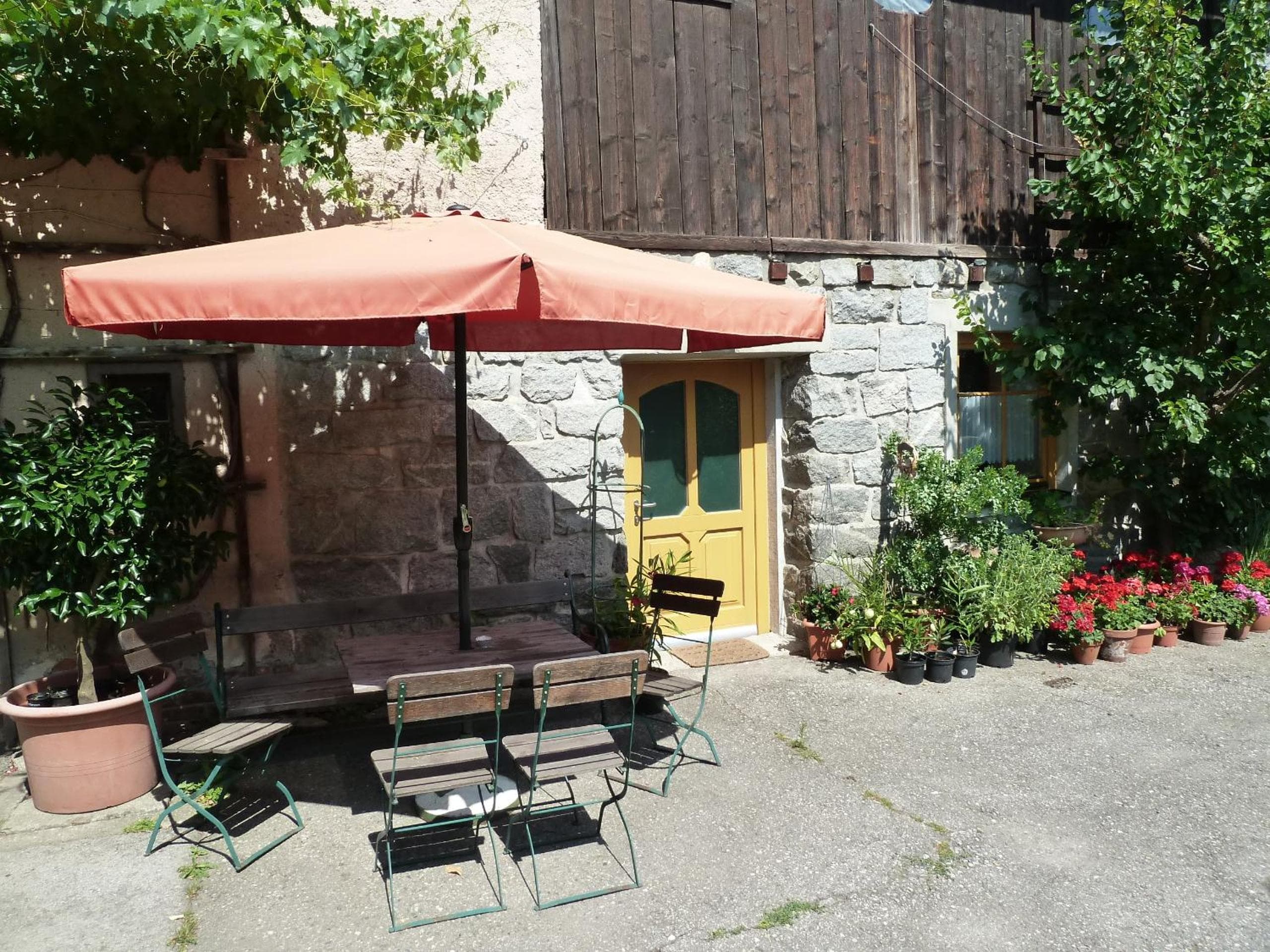 Photo 46
