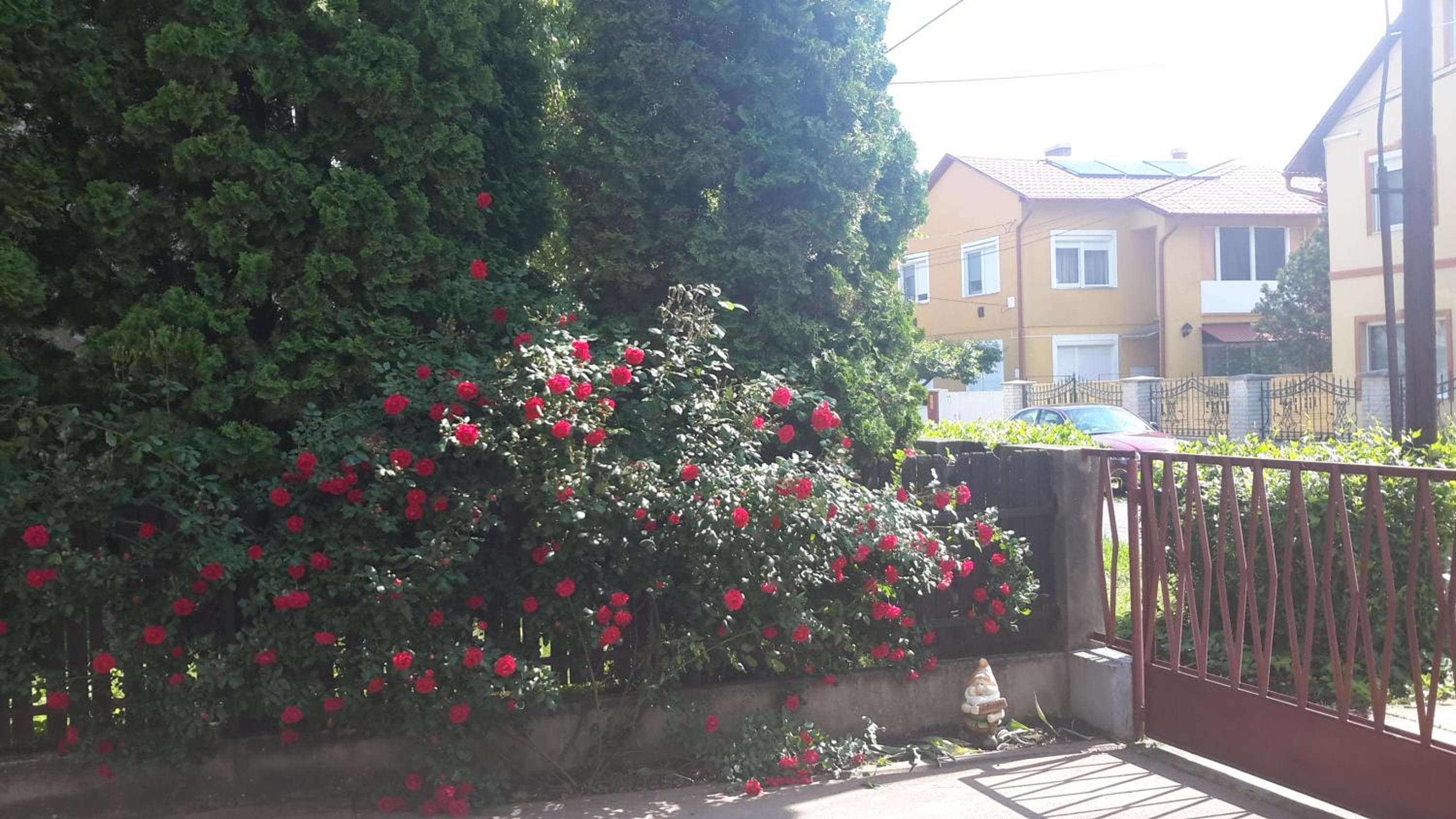 Photo 36