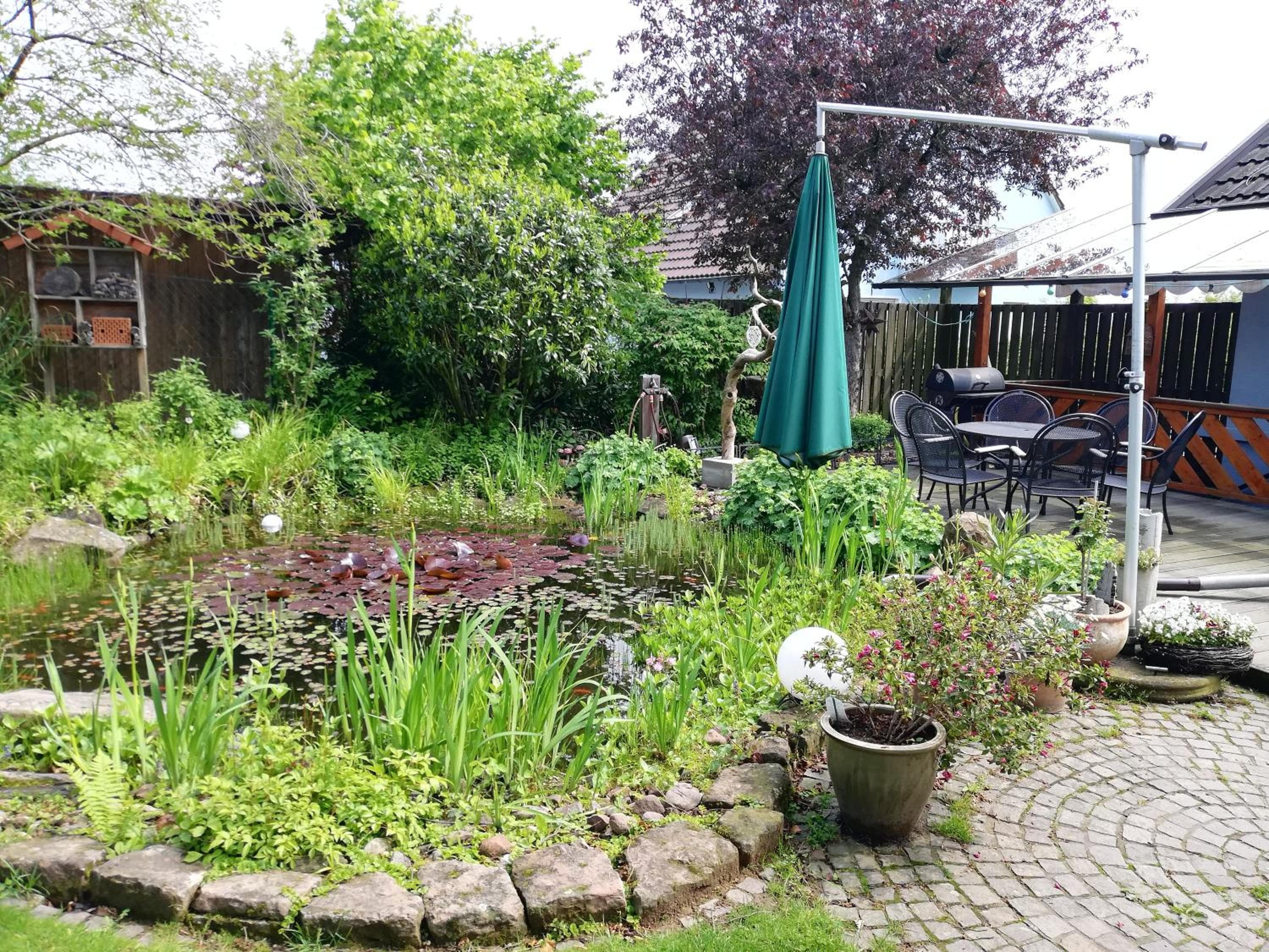 Photo 11