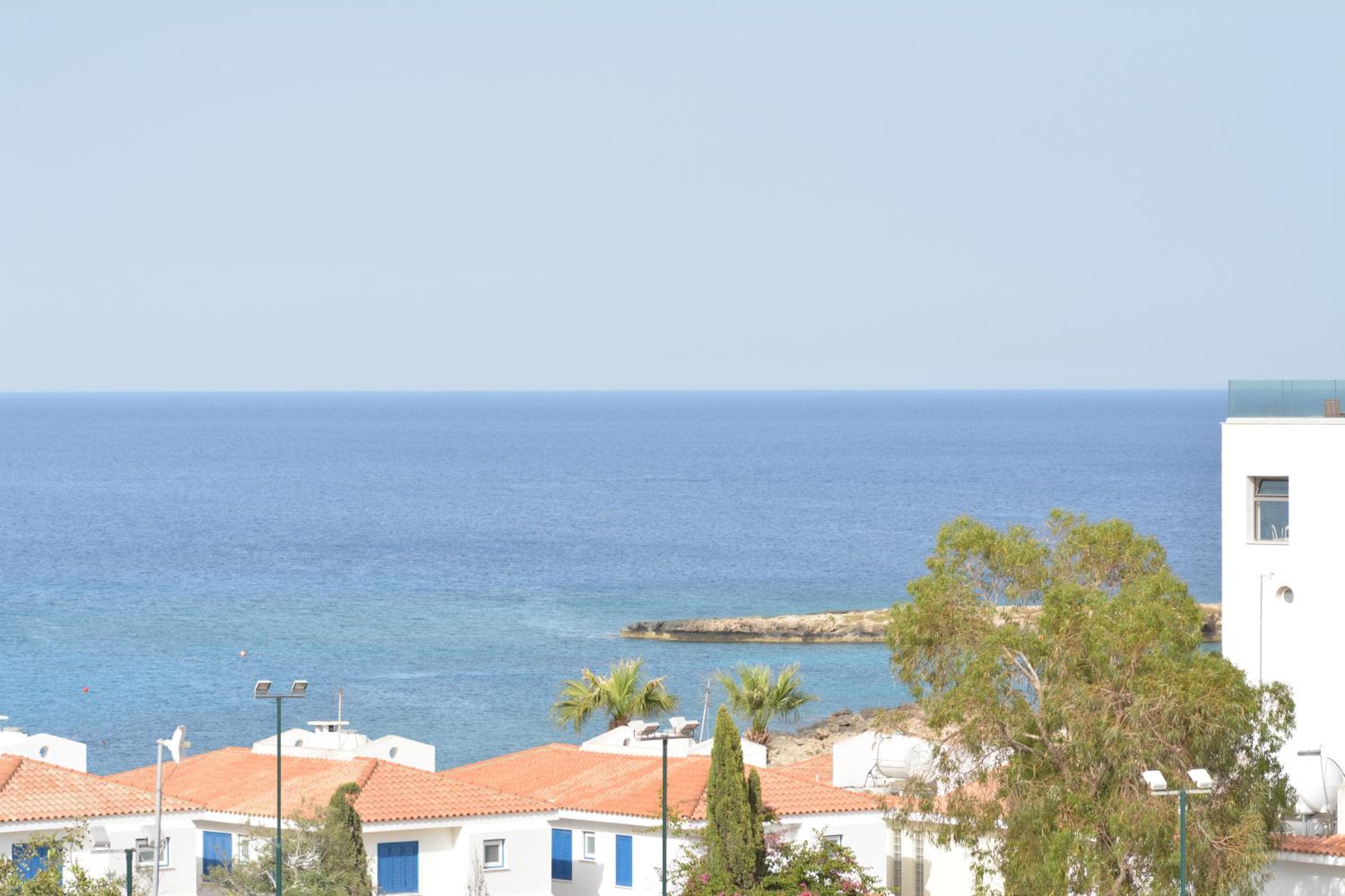Photo 43