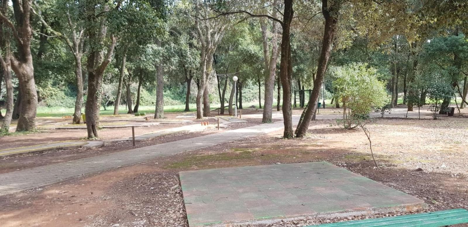 Photo 13
