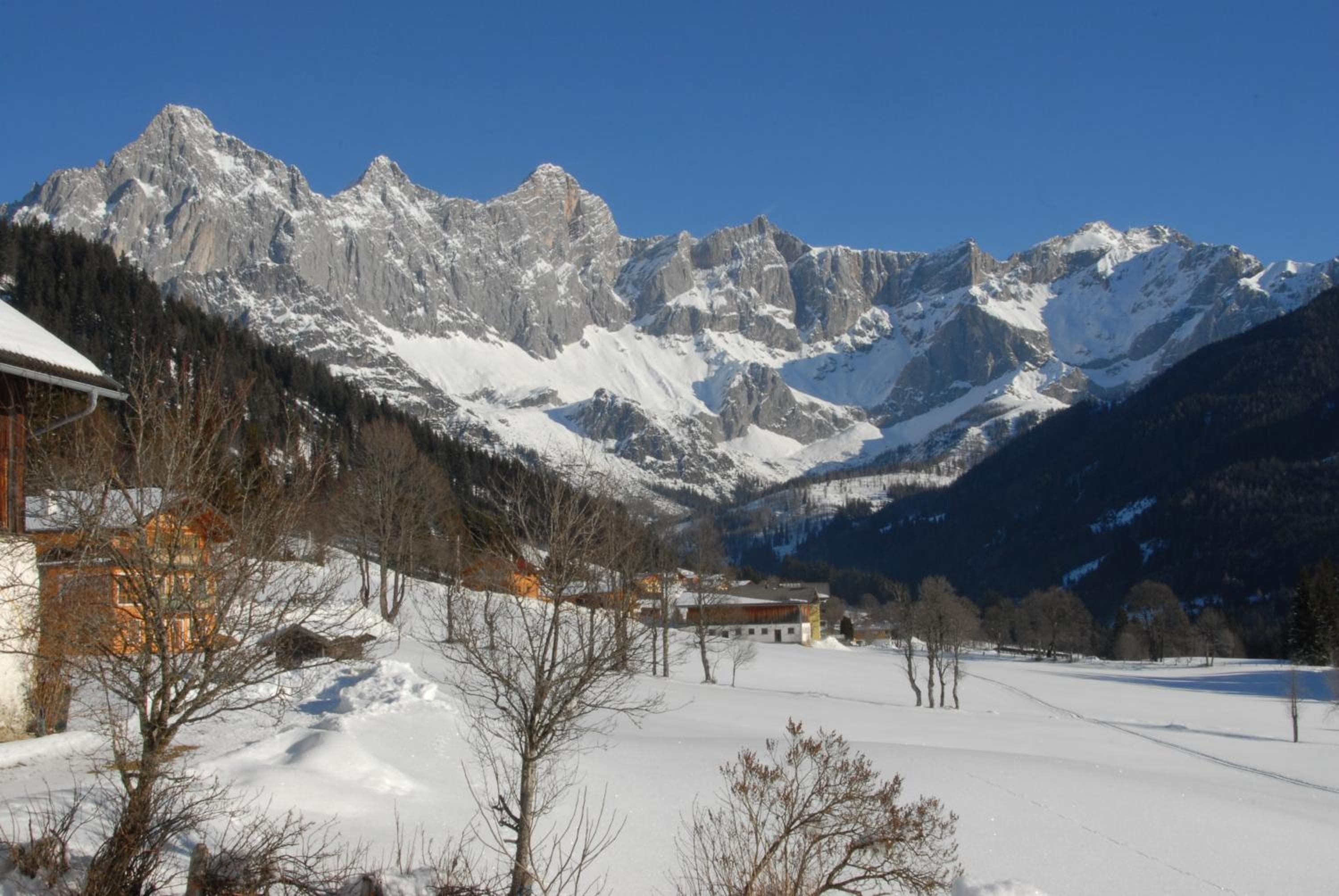 Photo 20