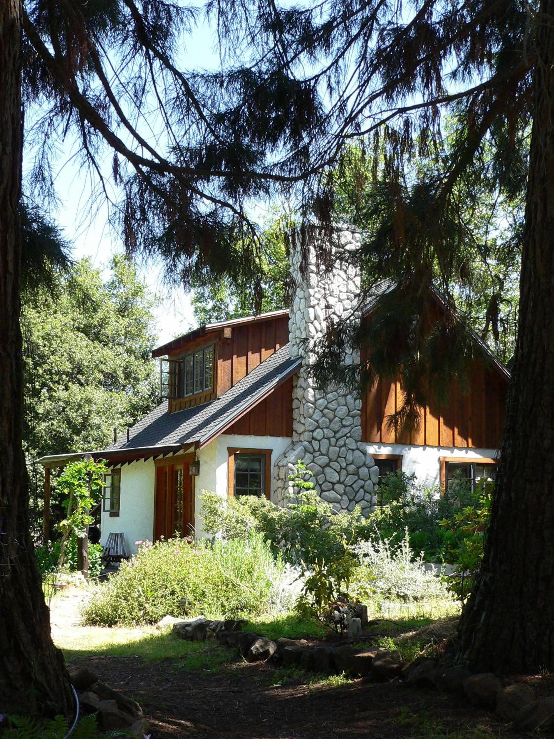Photo 7