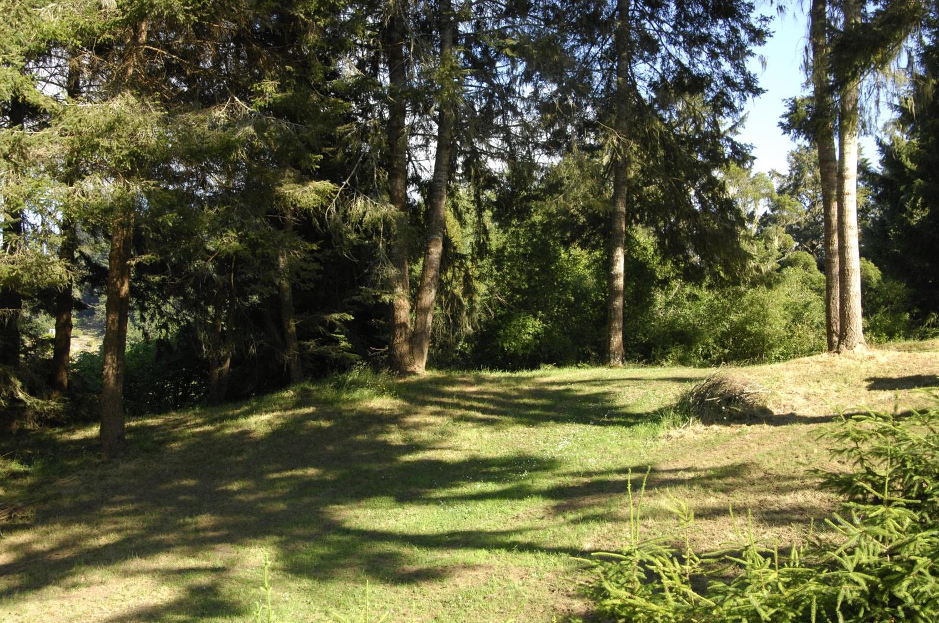 Photo 31