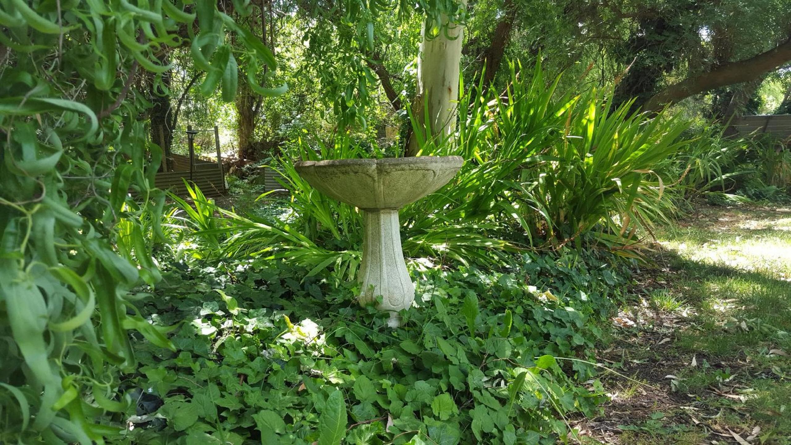 Photo 4