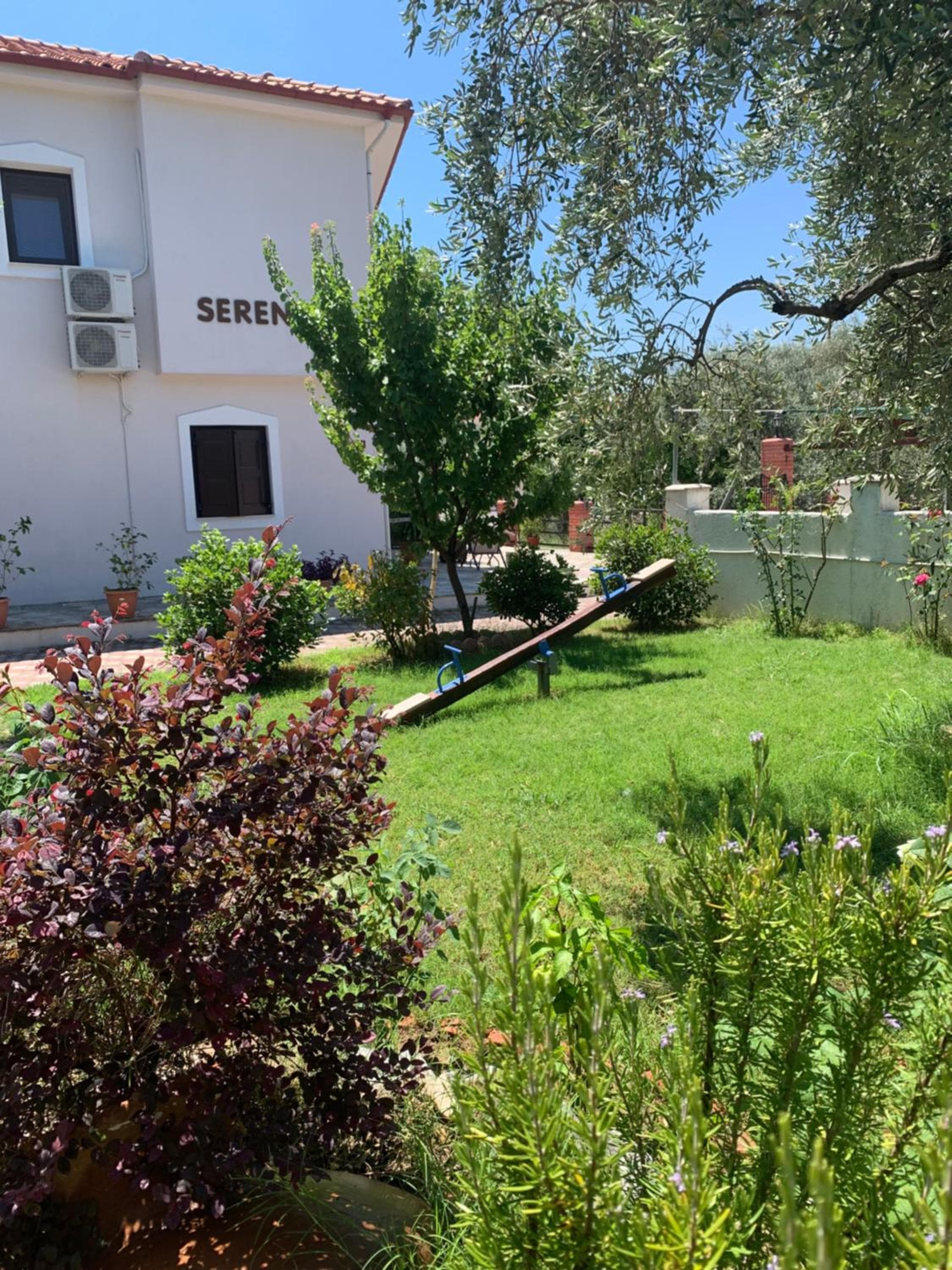 Photo 44