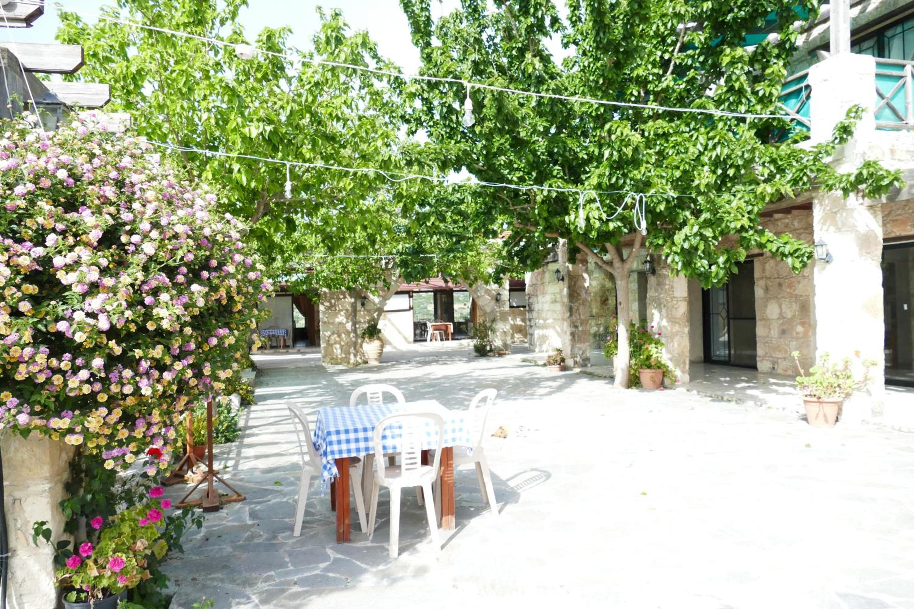 Photo 40