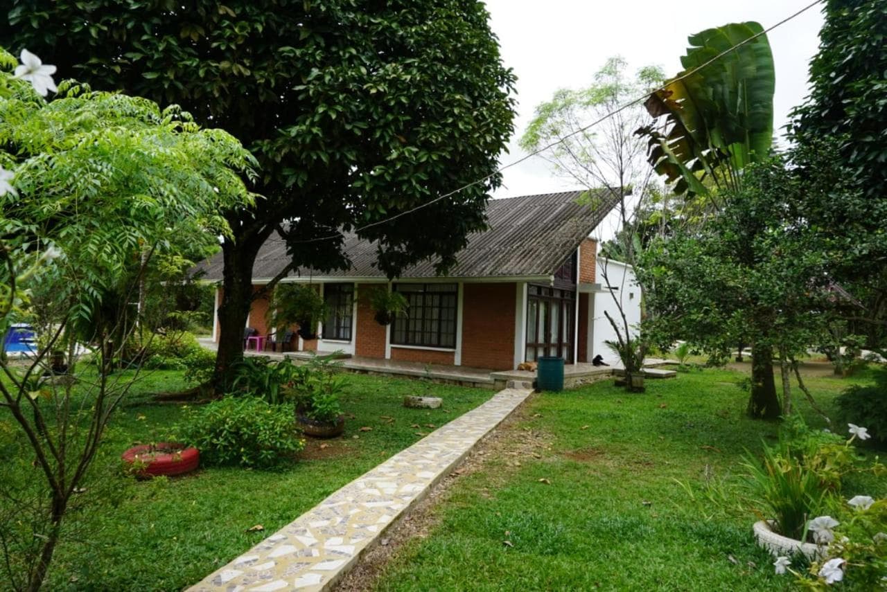 Photo 46