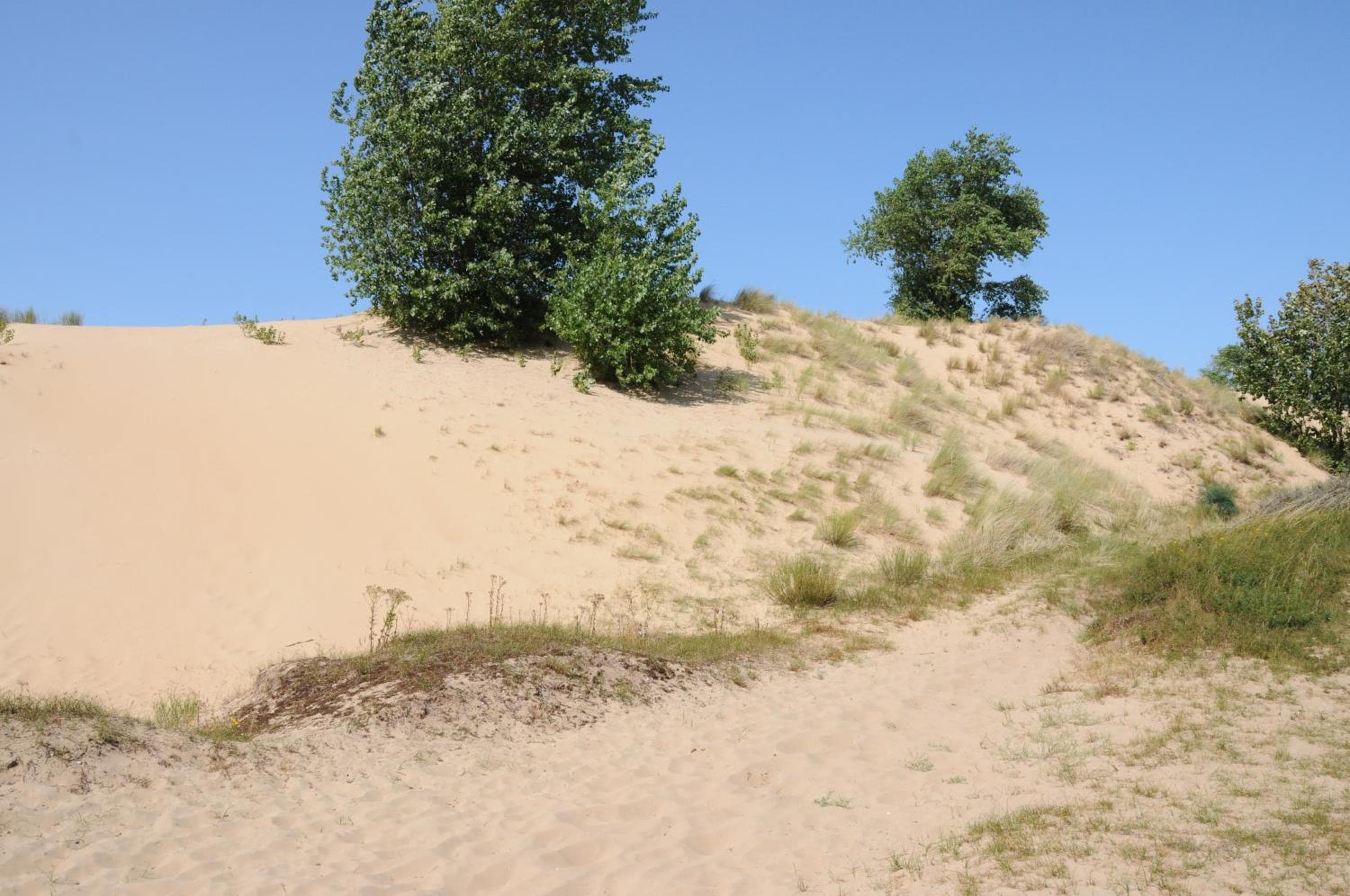 Photo 42