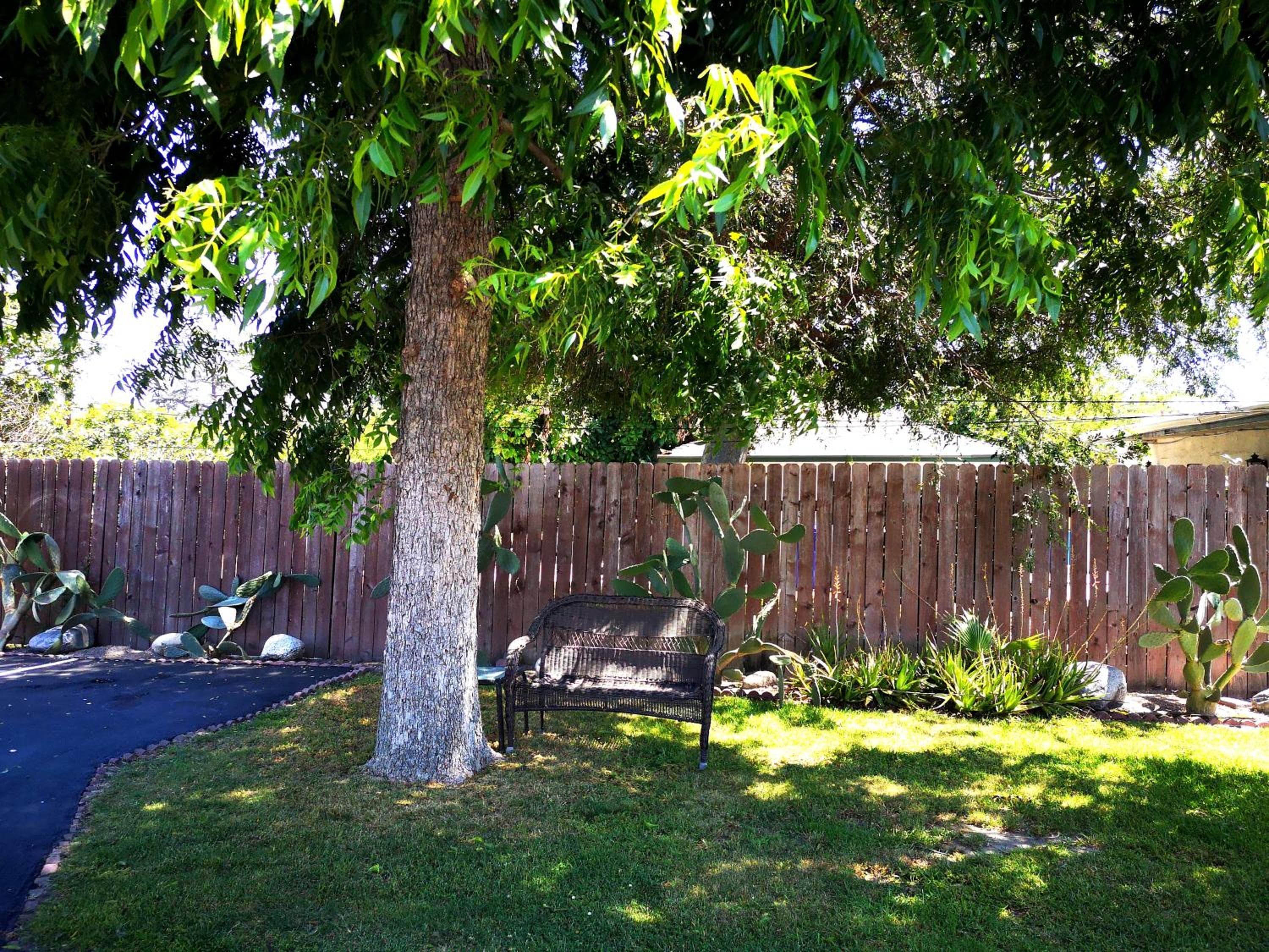 Photo 18