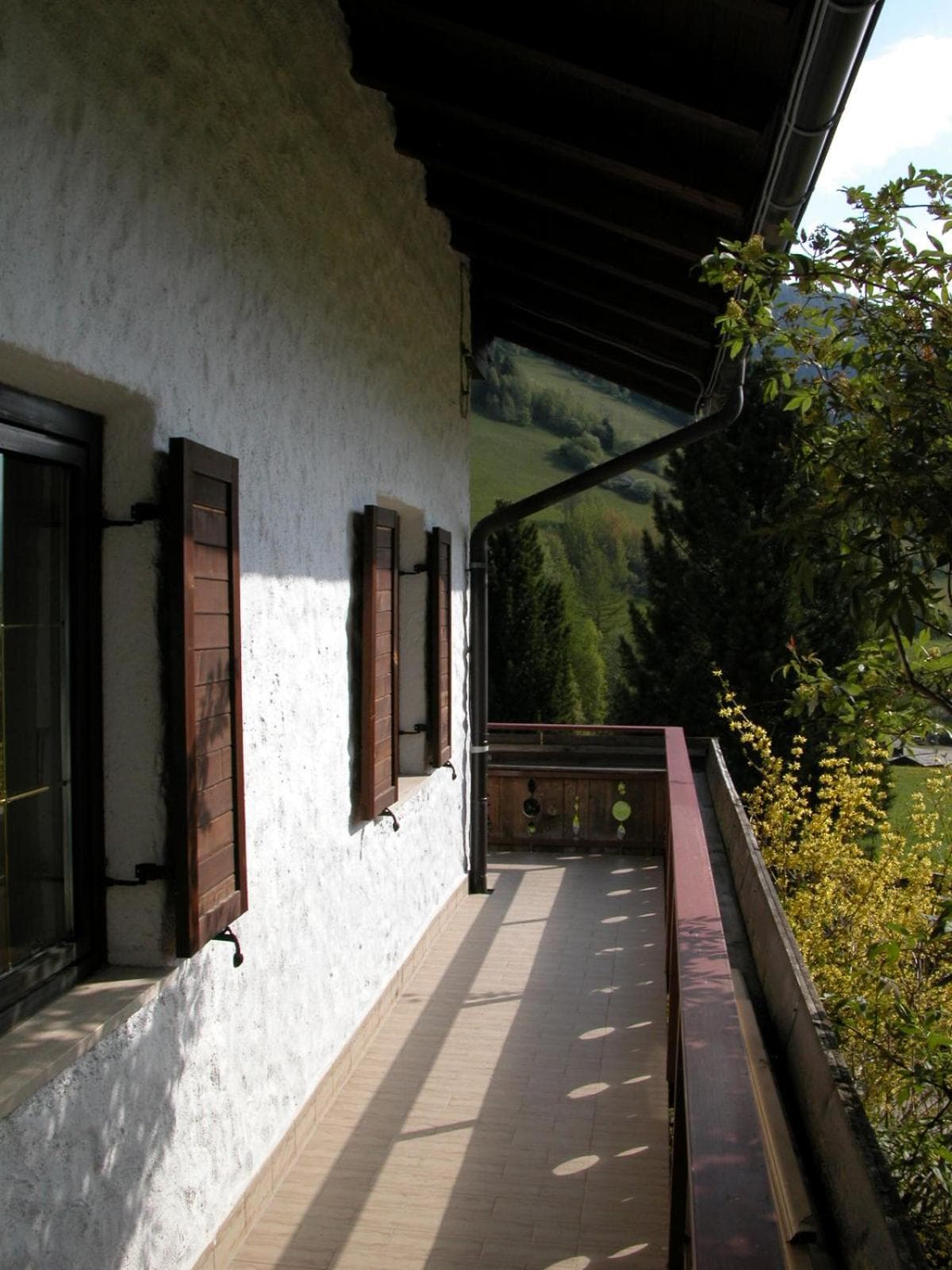Photo 31