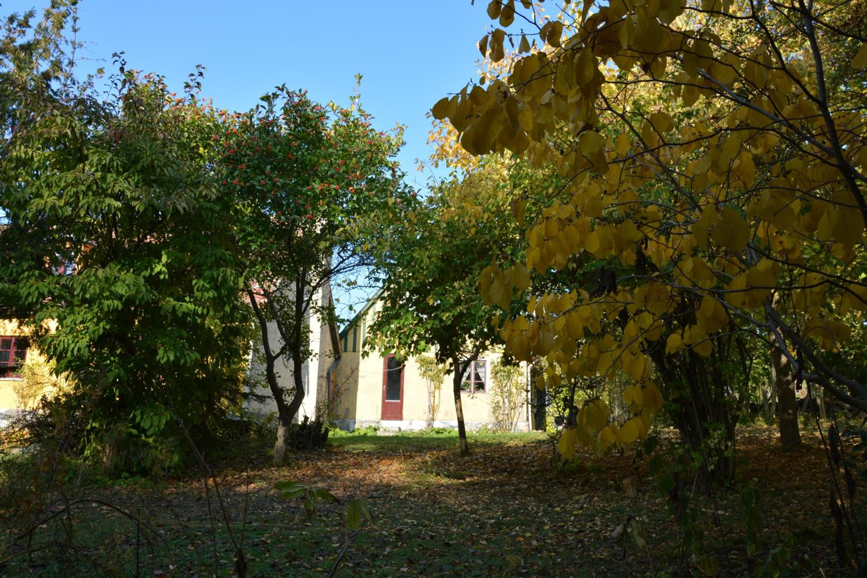 Photo 12