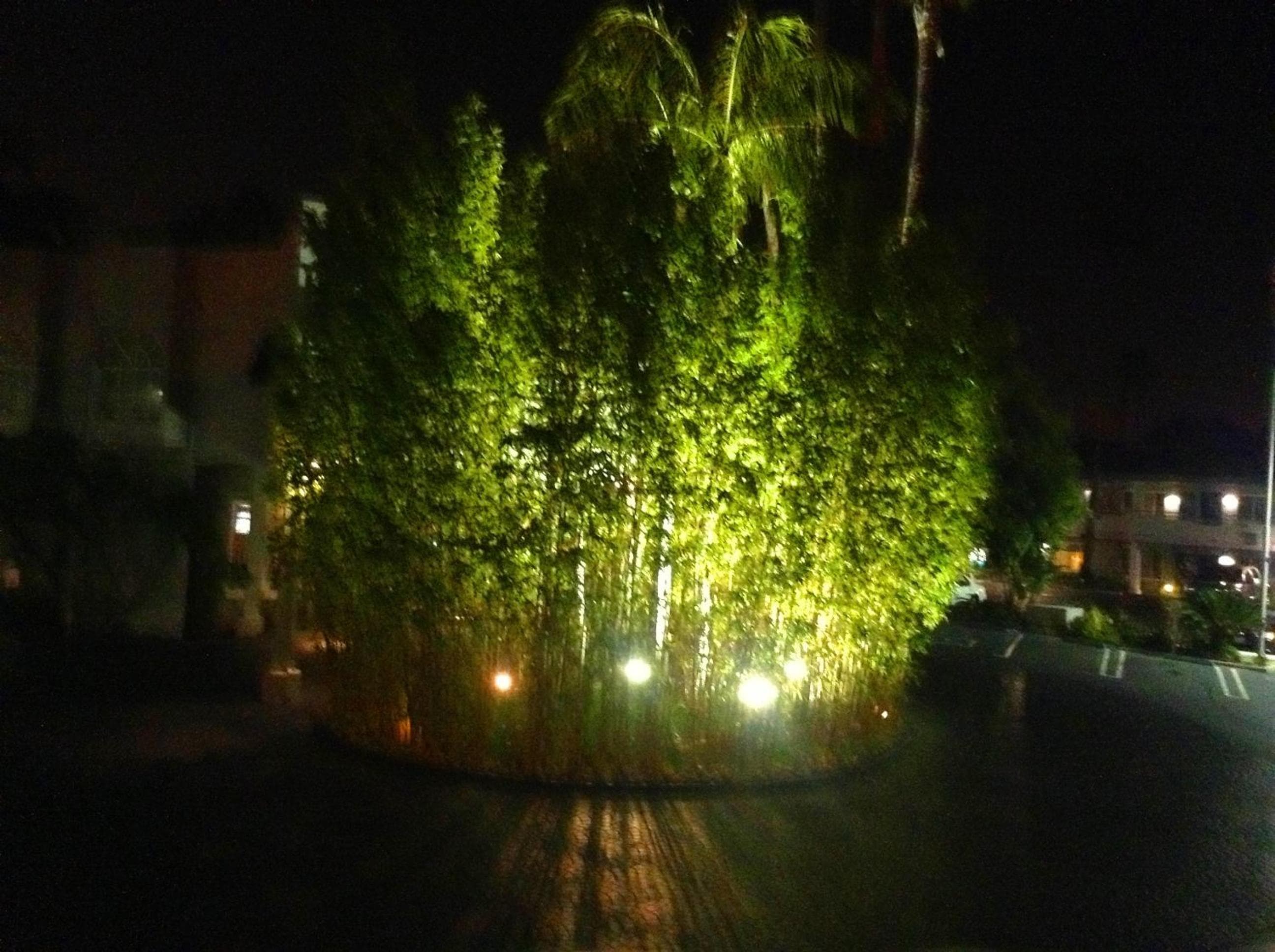 Photo 25