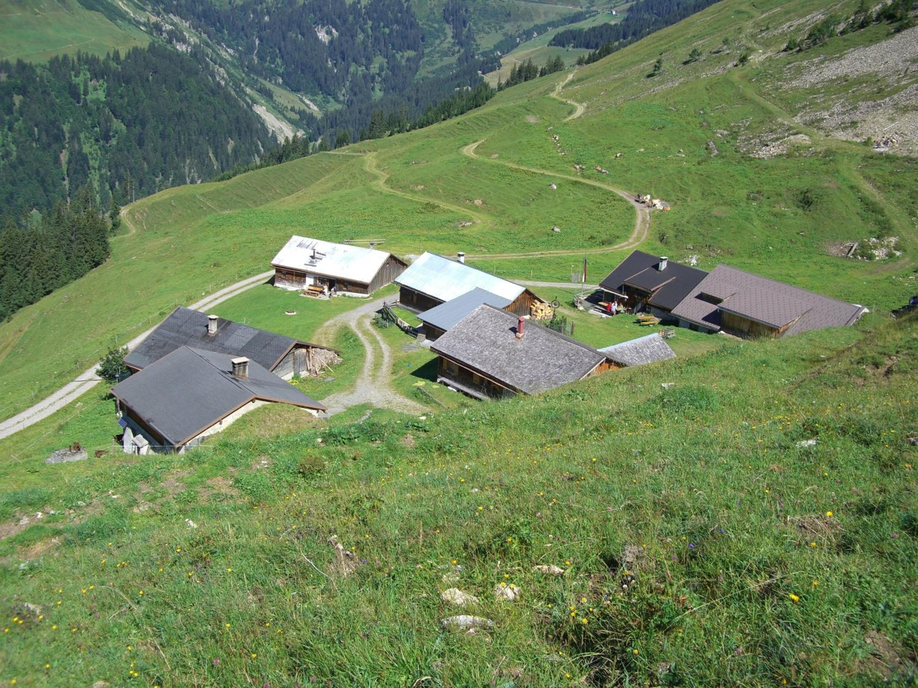 Photo 25