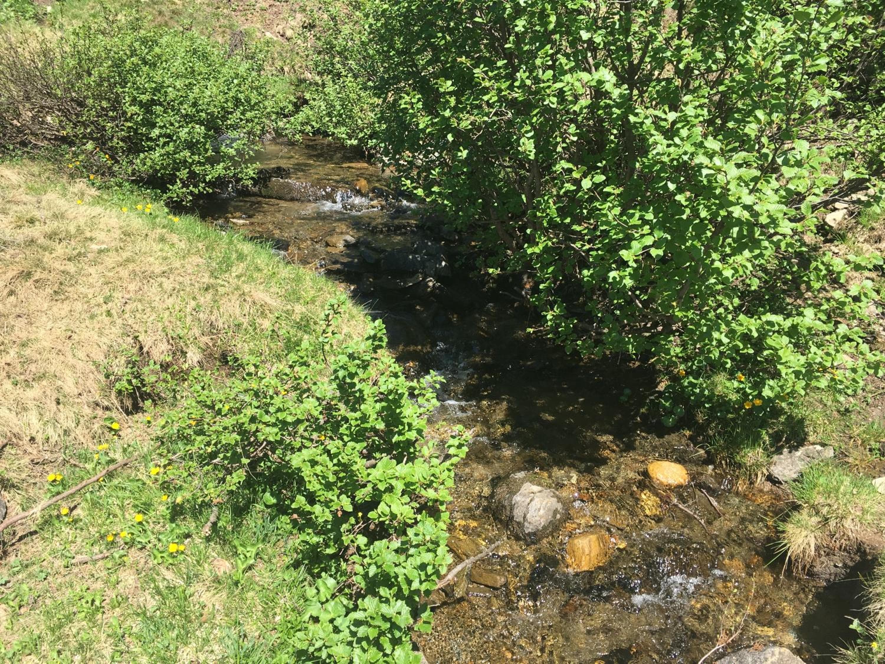 Photo 47