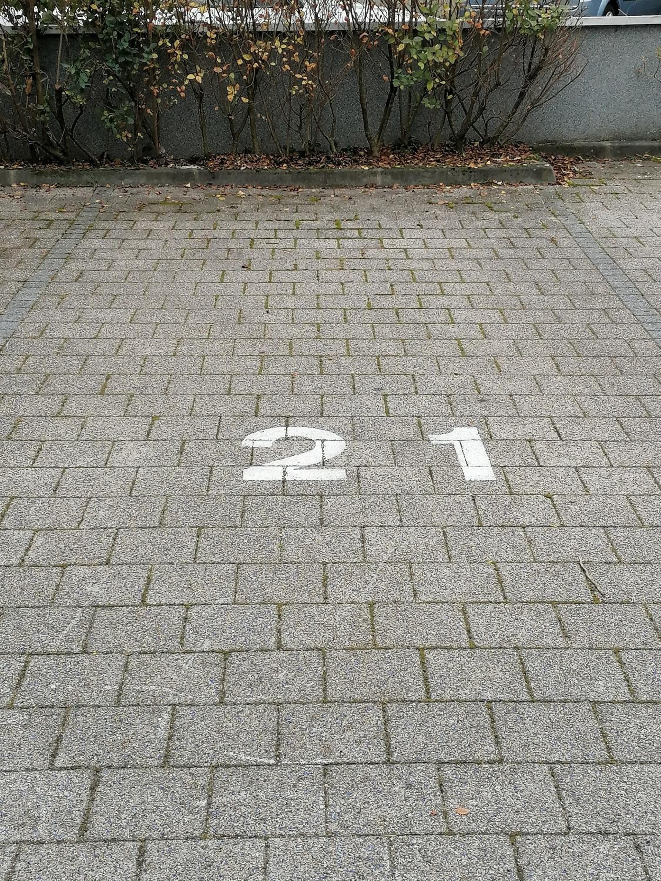 Photo 7