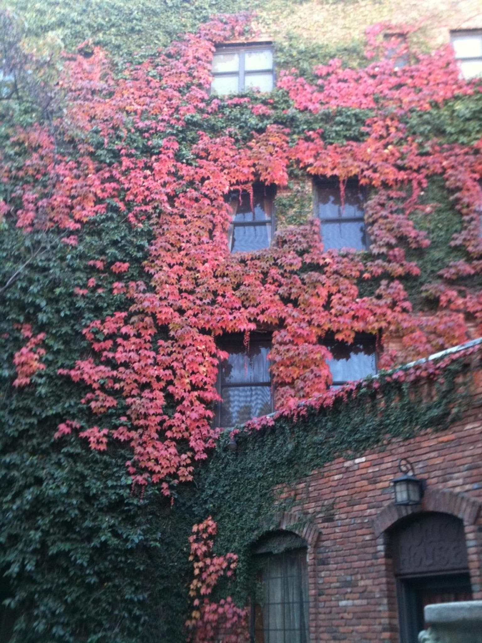Photo 32