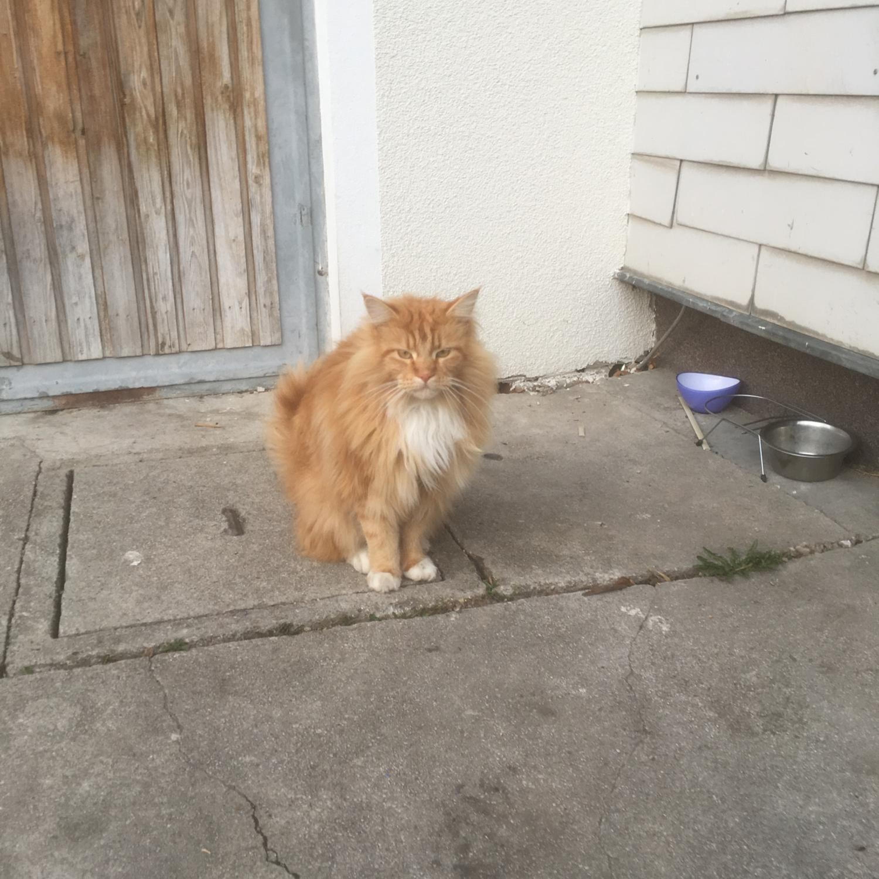 Photo 38