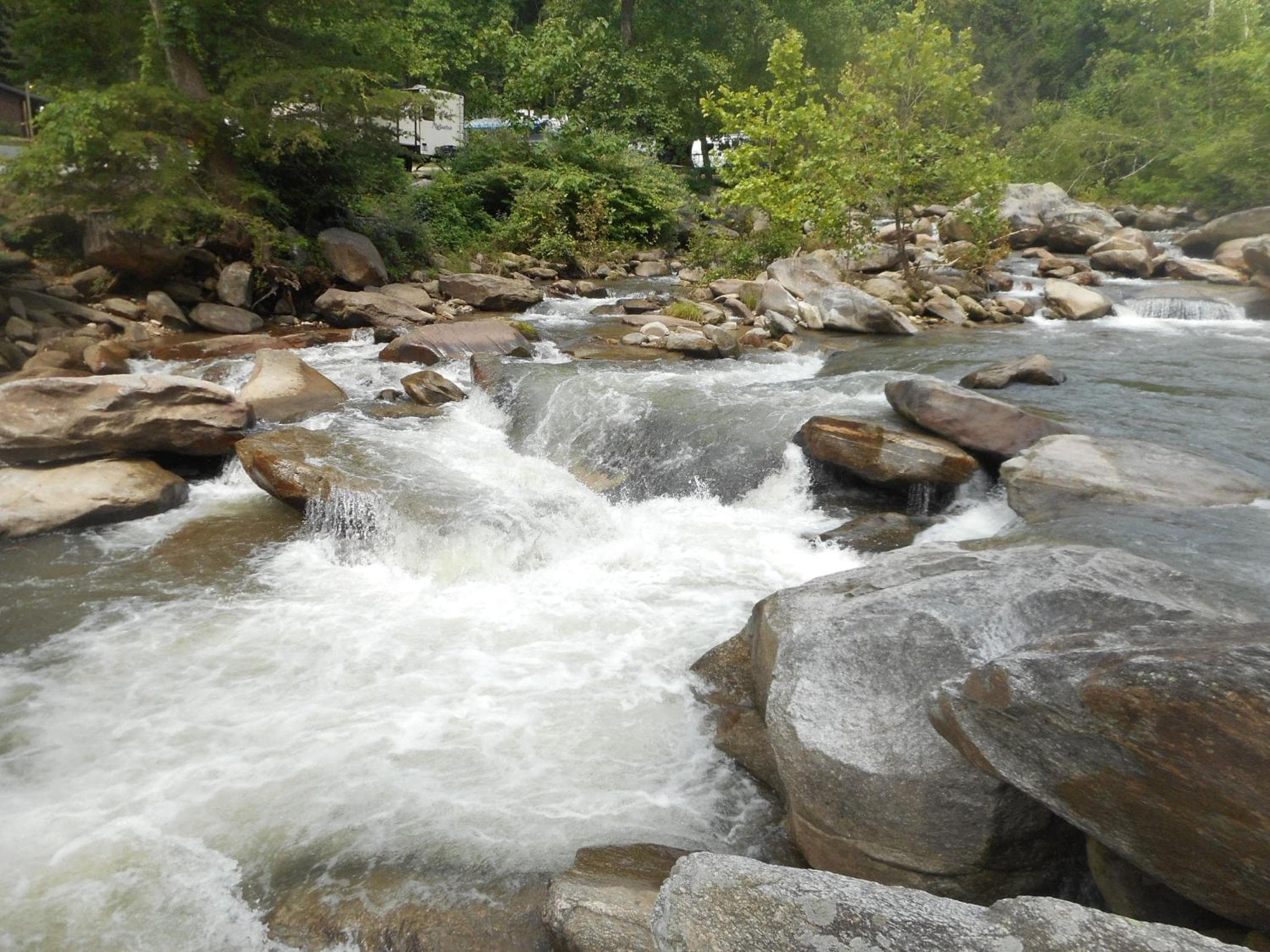Photo 41