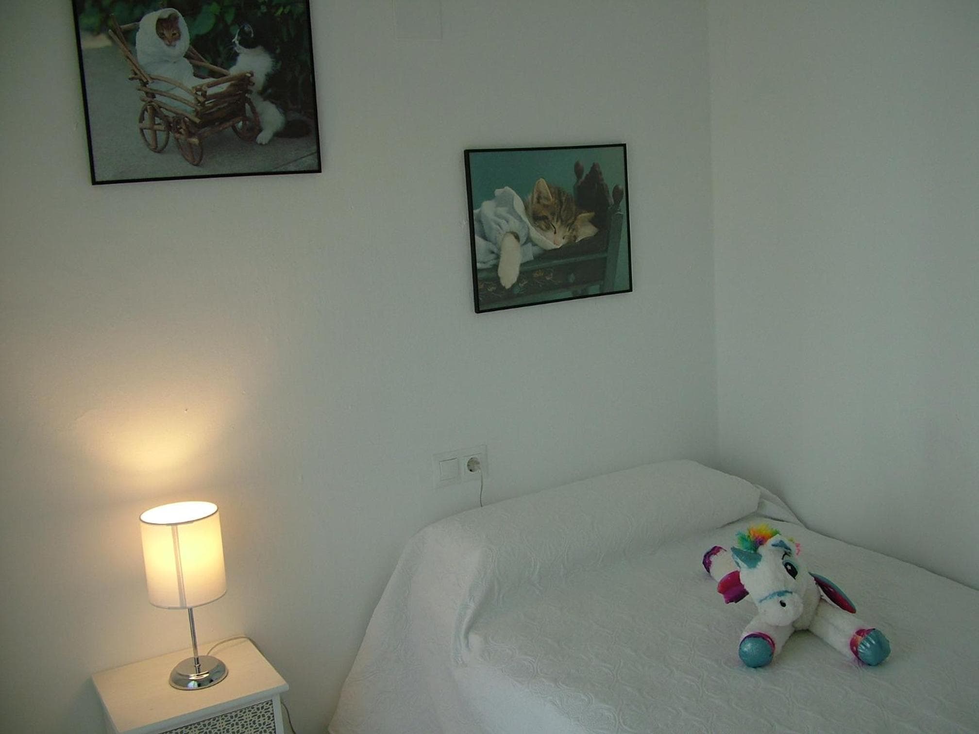 Photo 37