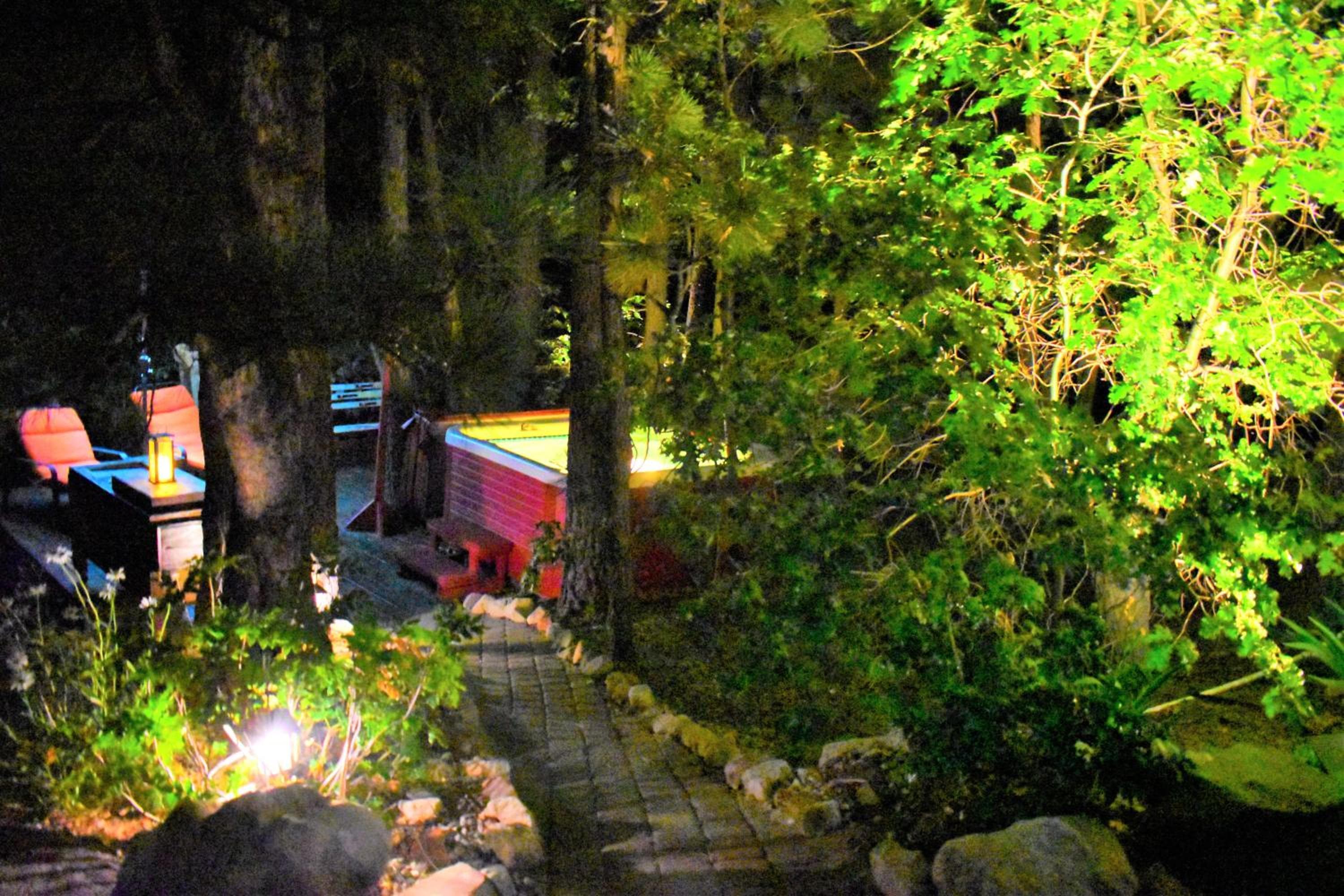 Photo 44