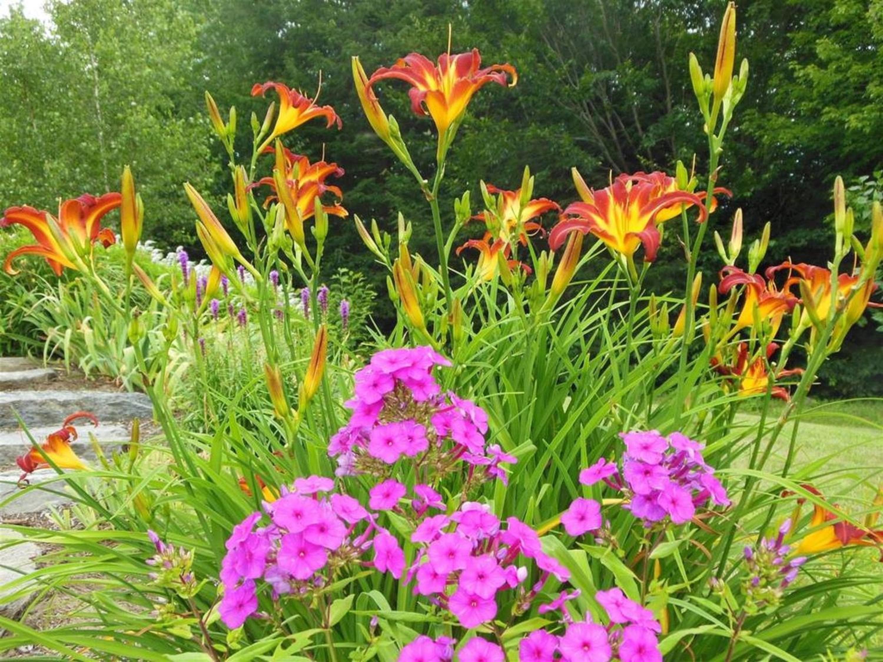 Photo 44