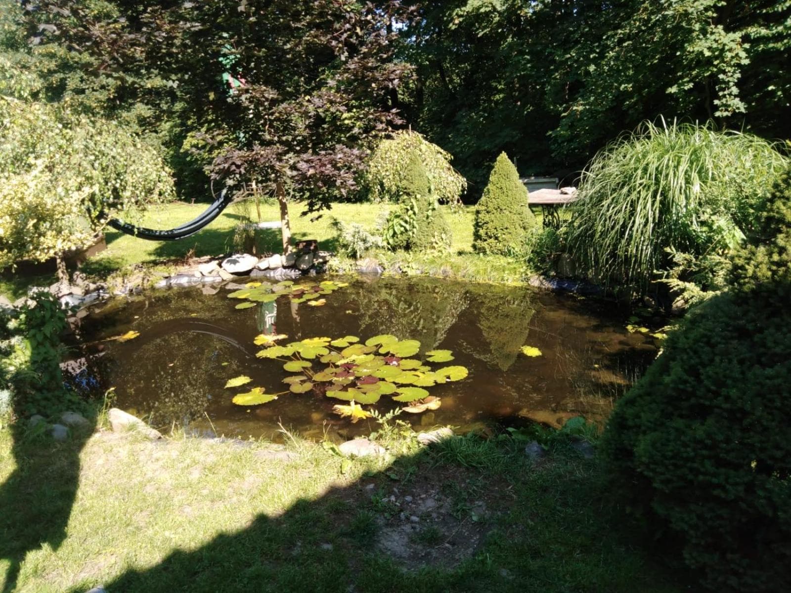 Photo 14