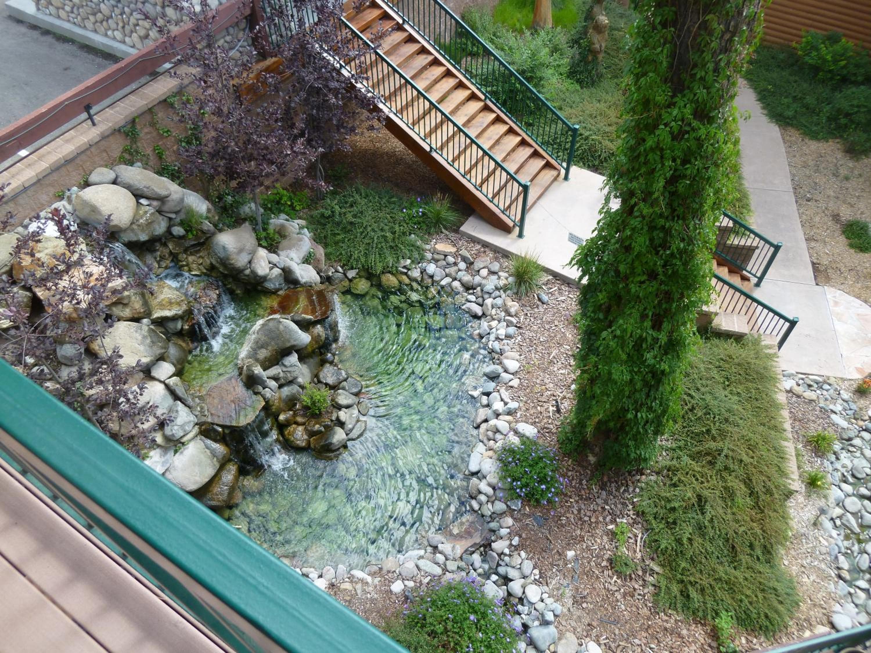 Photo 16